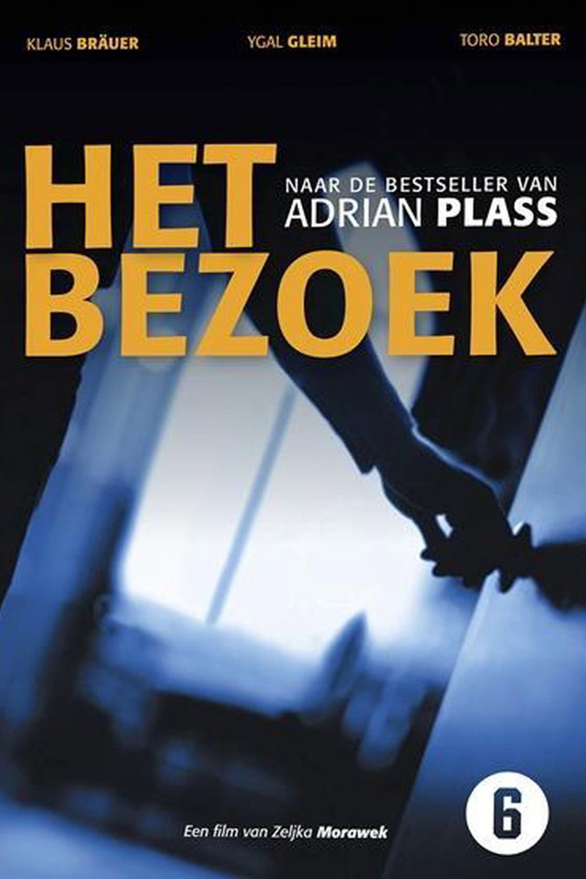Het Bezoek