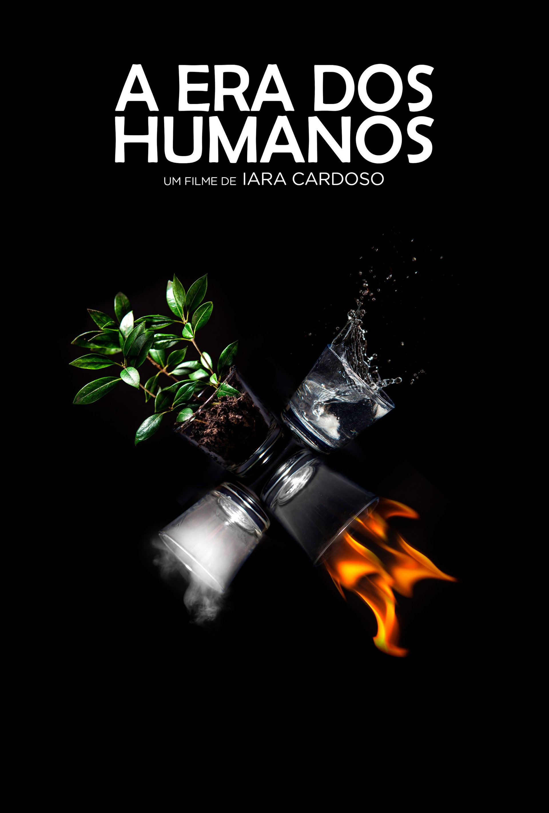 A Era dos Humanos
