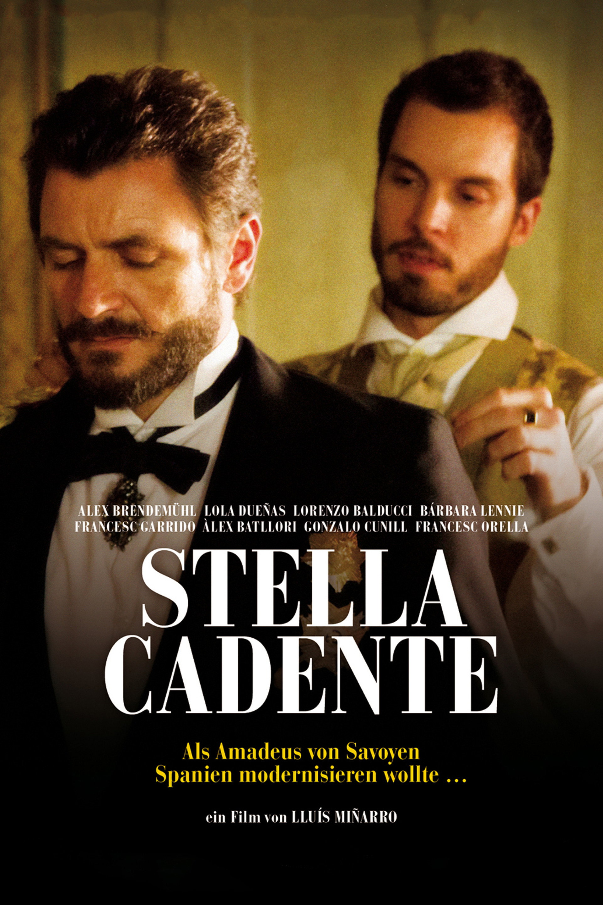 Stella cadente