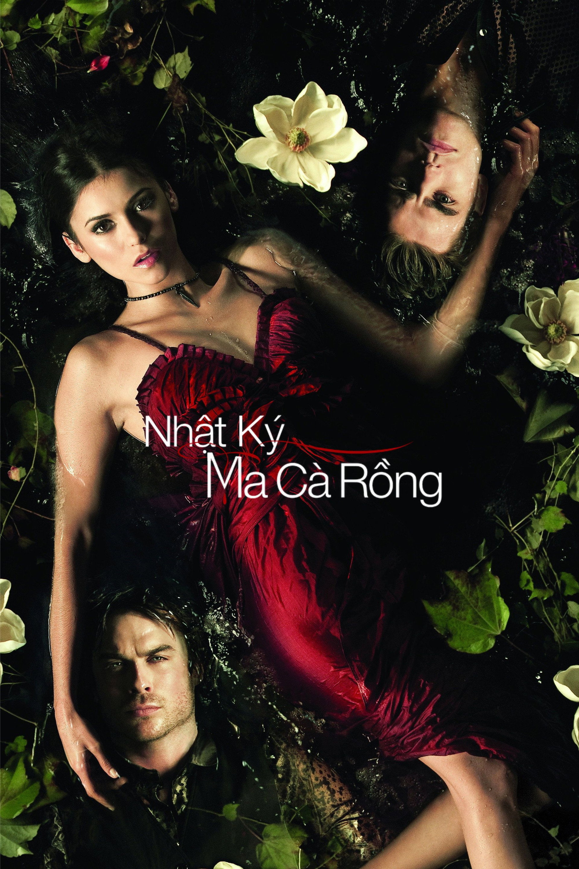 Nhật Ký Ma Cà Rồng