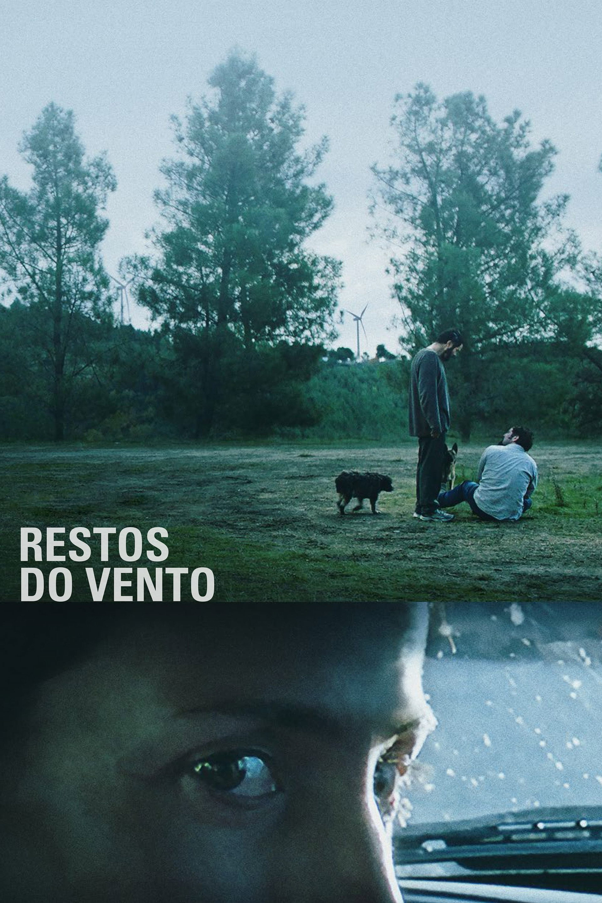Restos do vento