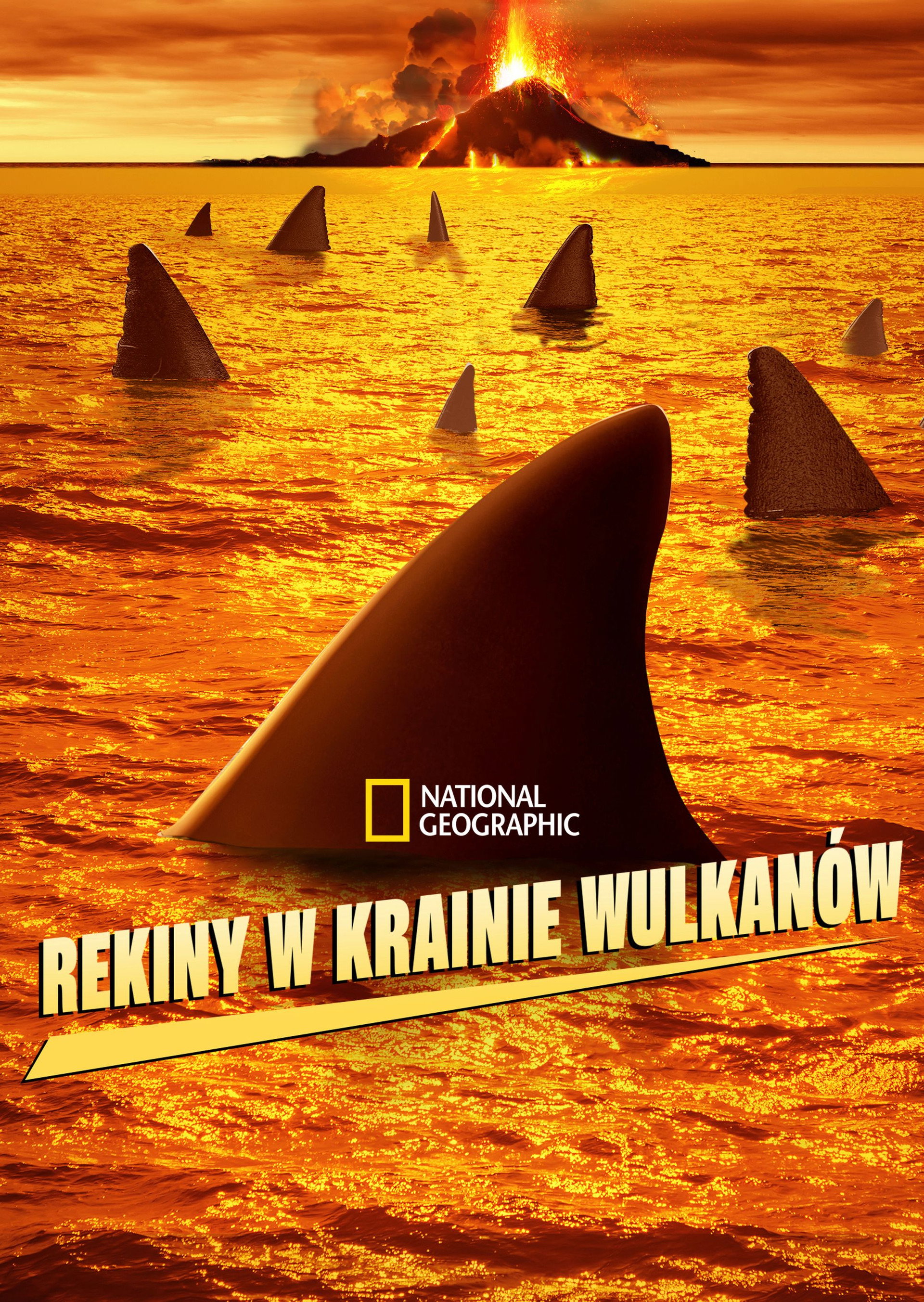 Rekiny i wulkany