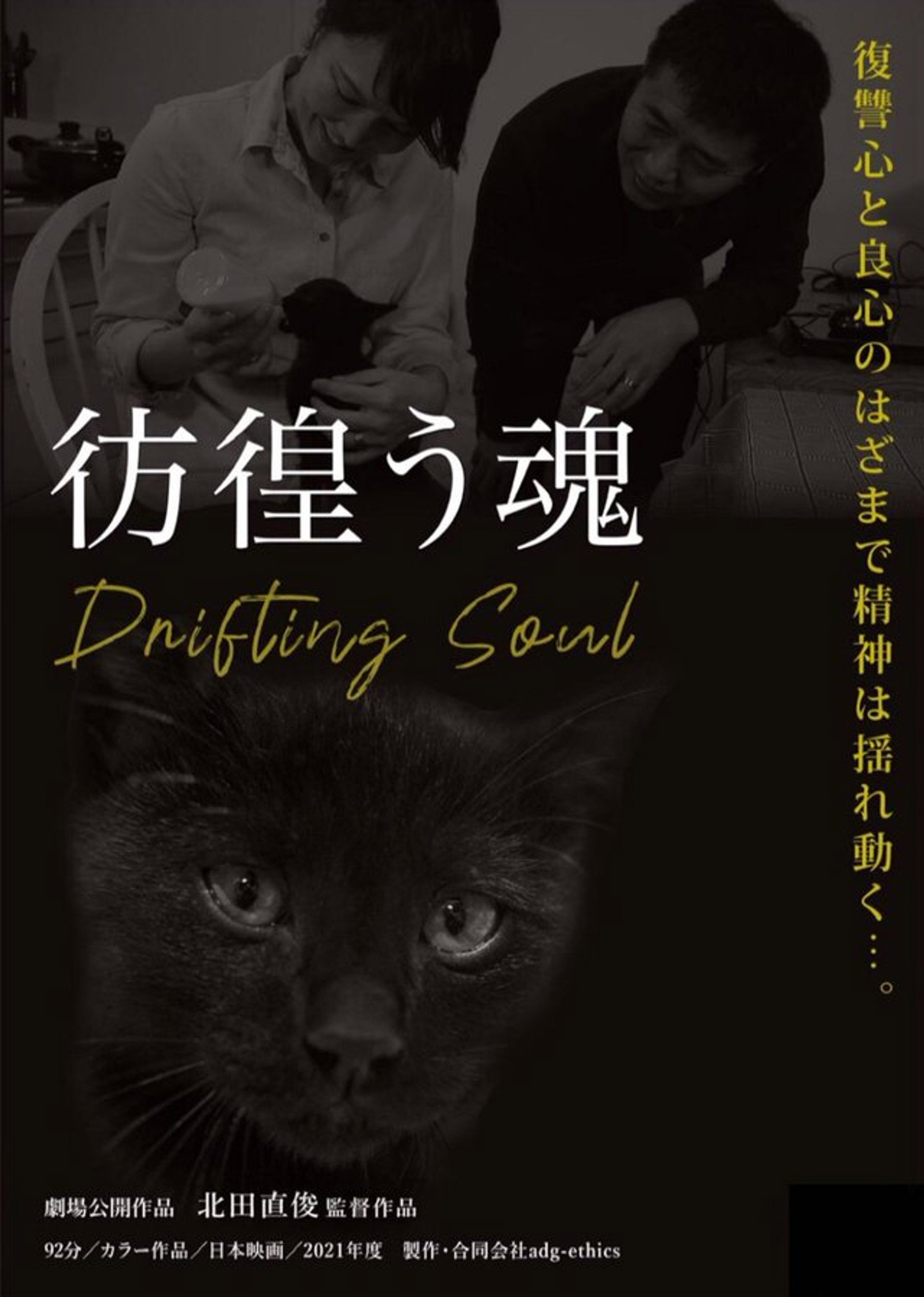 彷徨う魂
