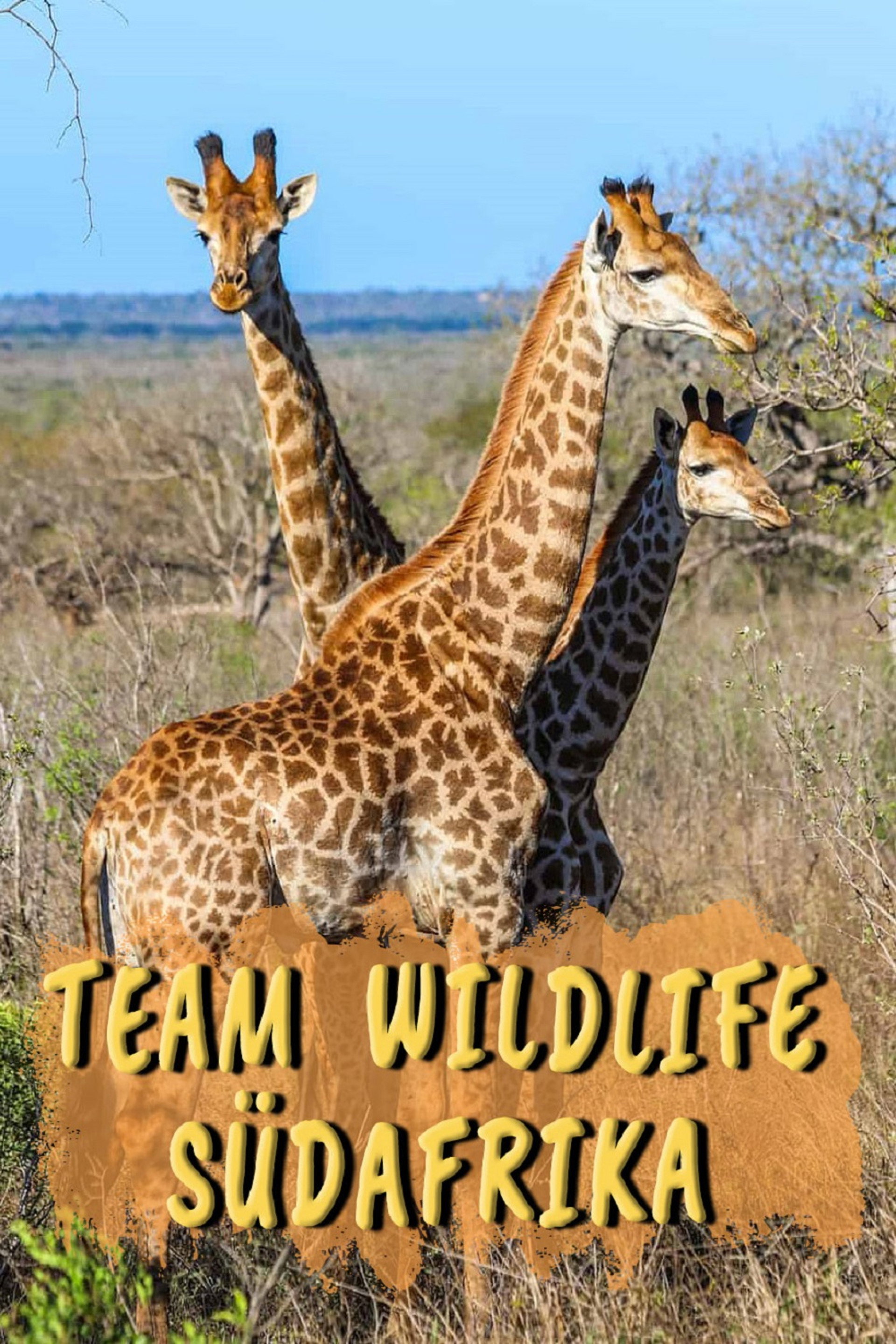 Team Wildlife Südafrika