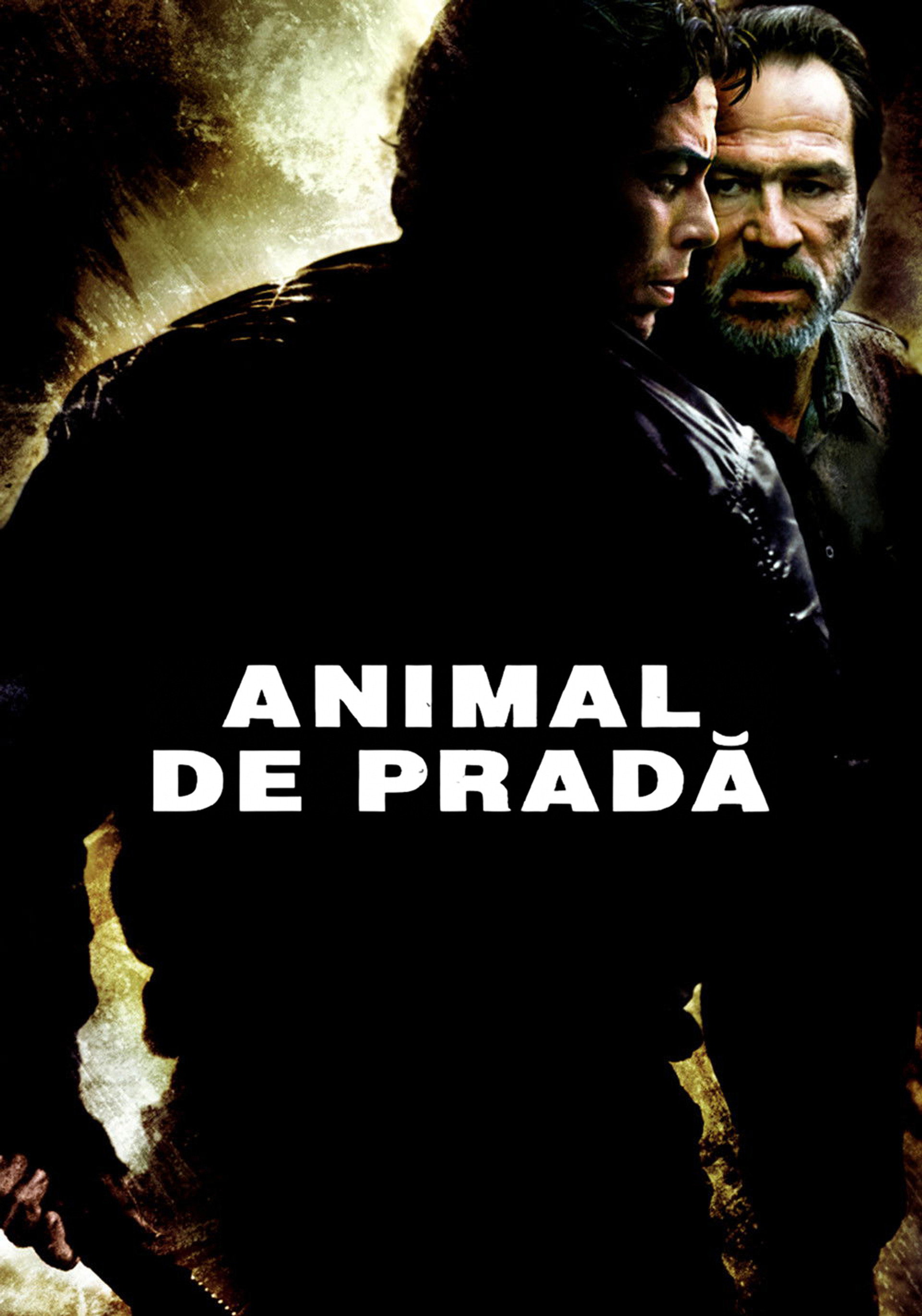 Animal de pradă