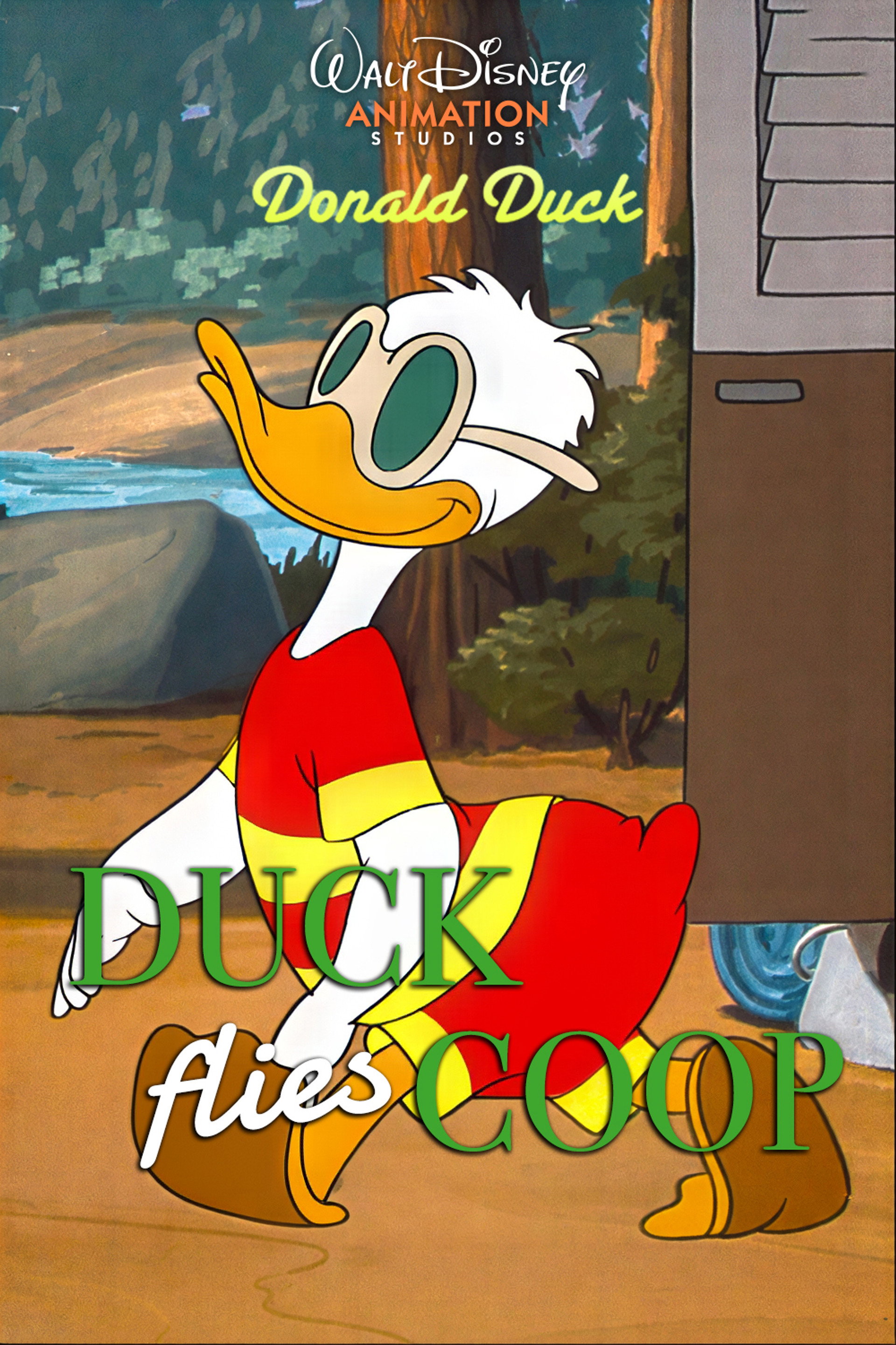 Duck Flies Coop