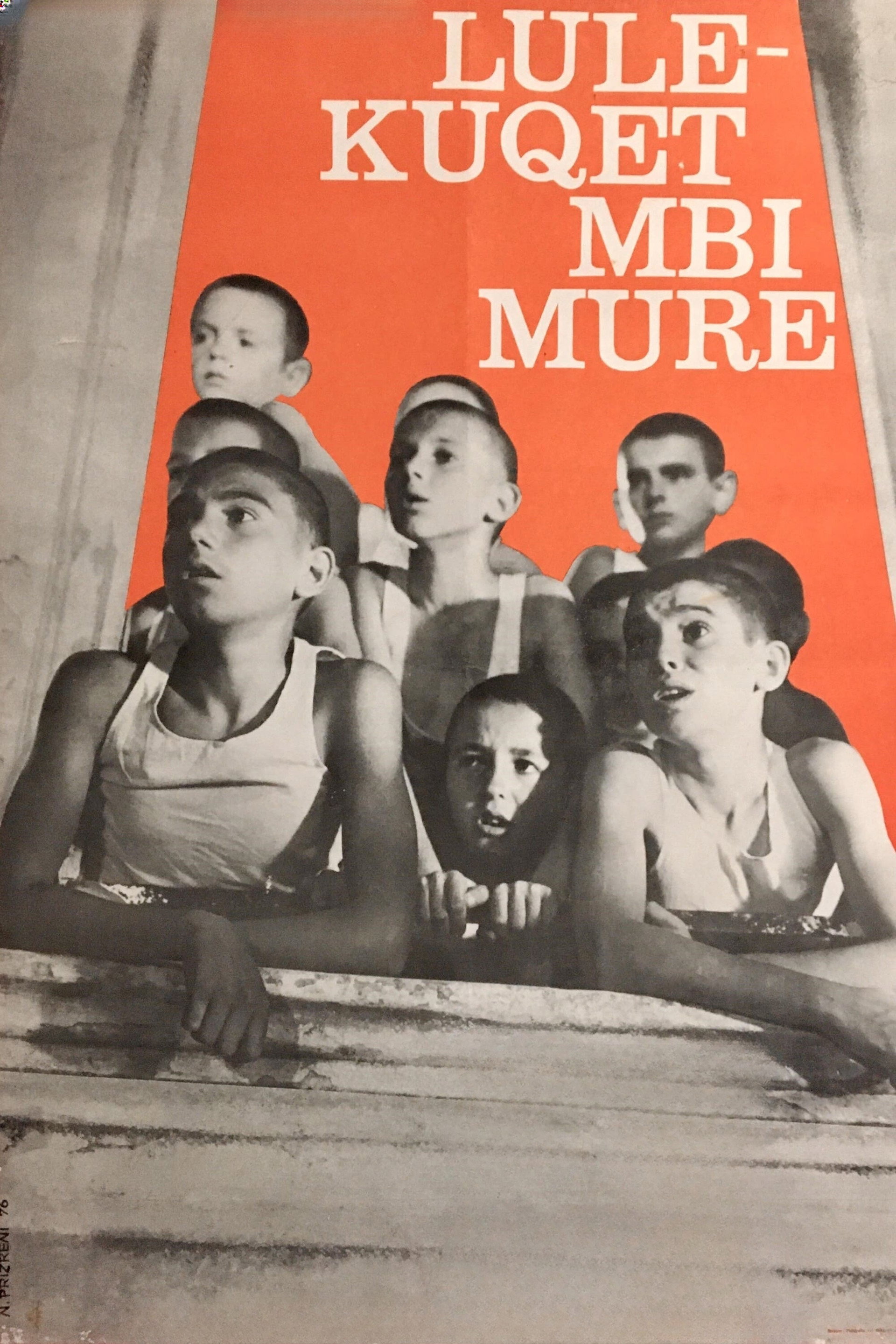 Lulëkuqet mbi mure