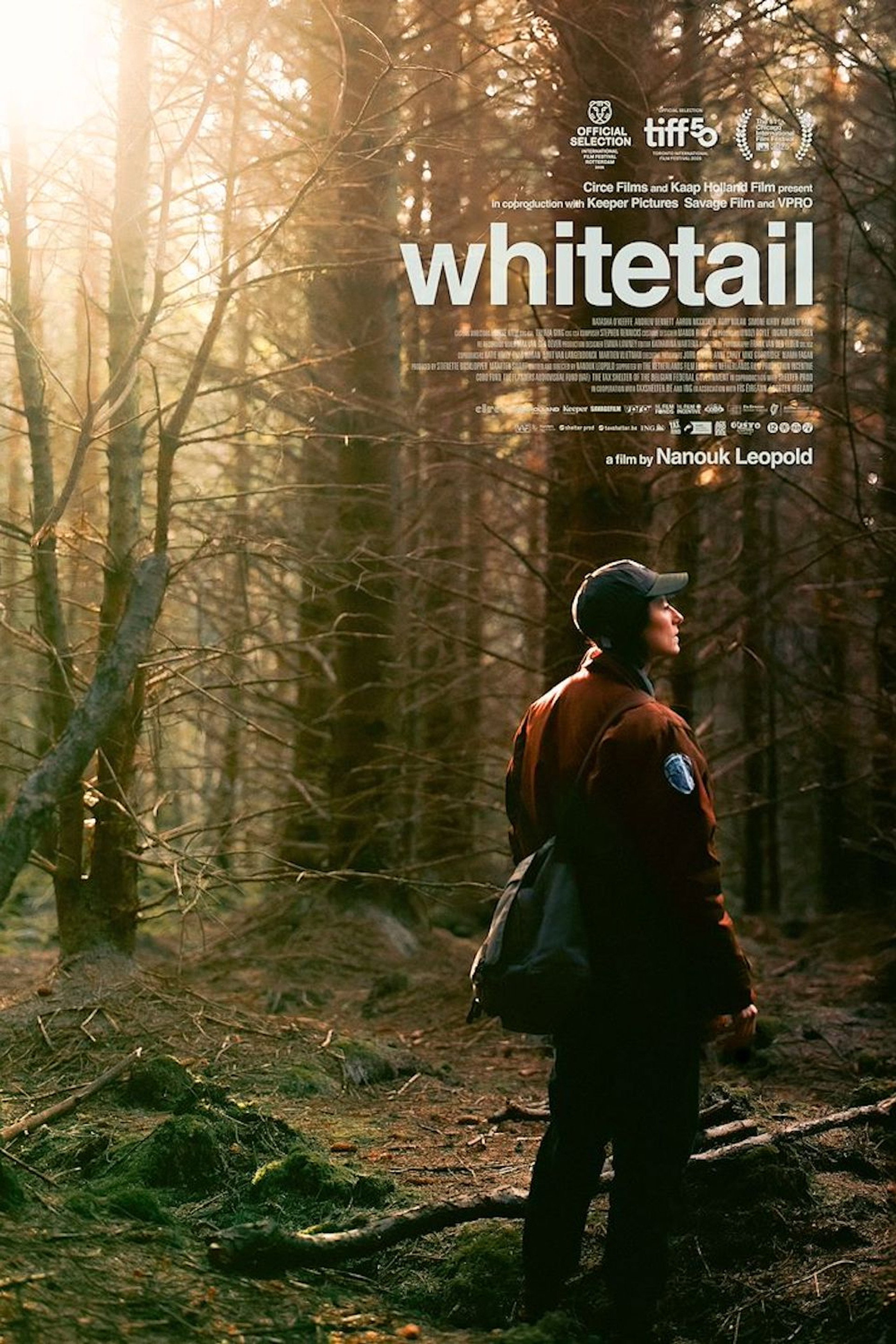 Whitetail