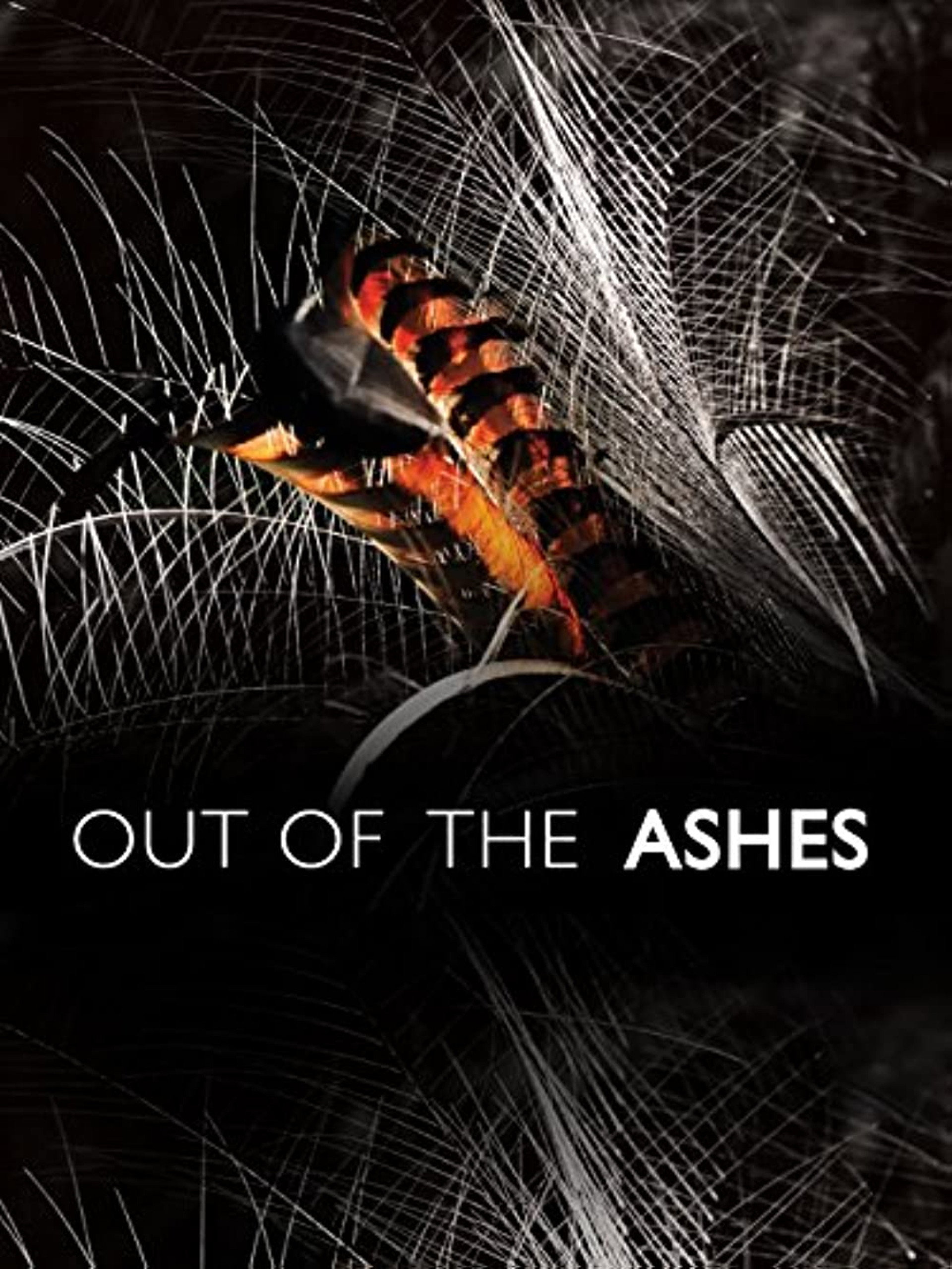 Out of the Ashes