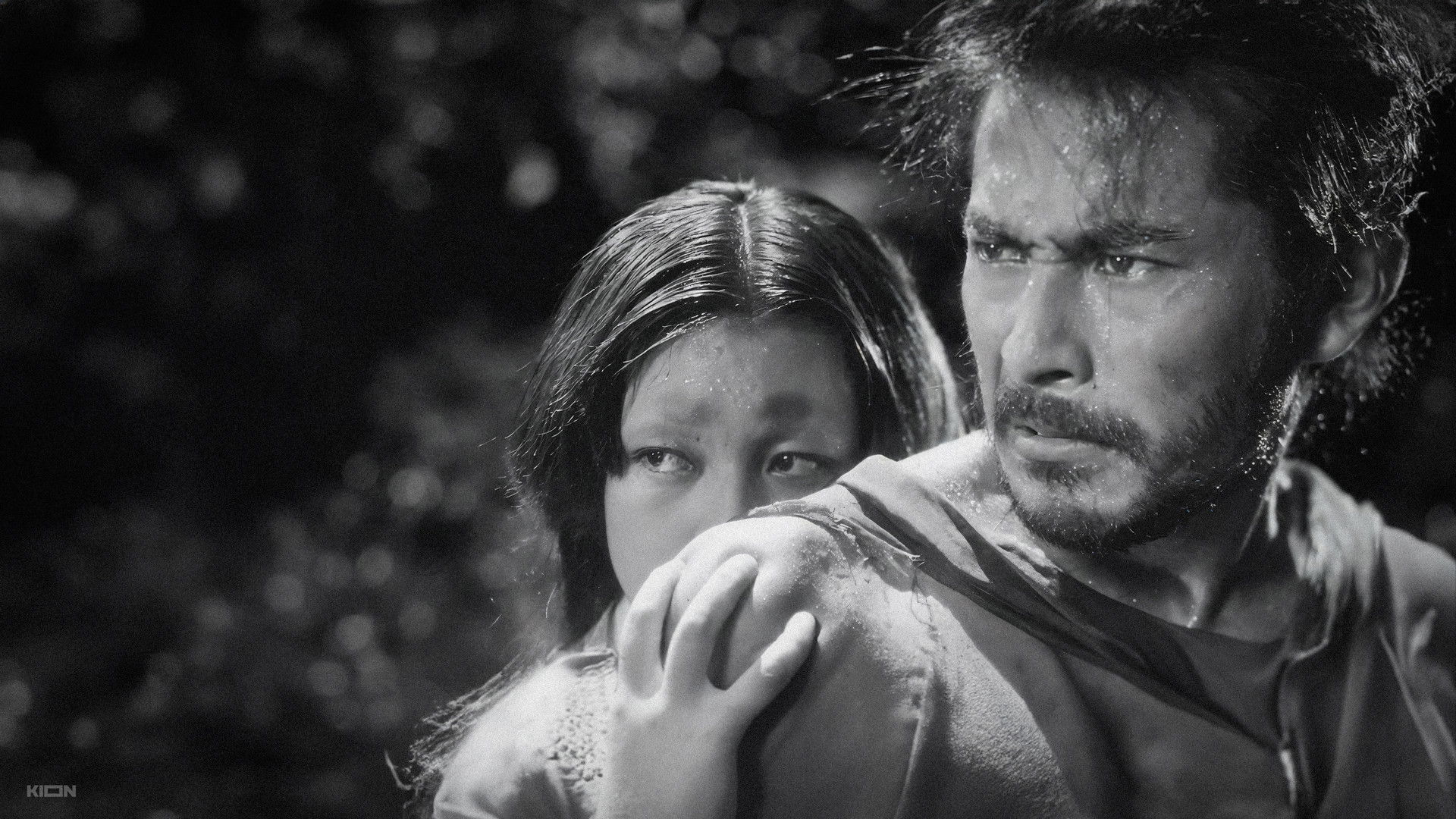 Rashomon