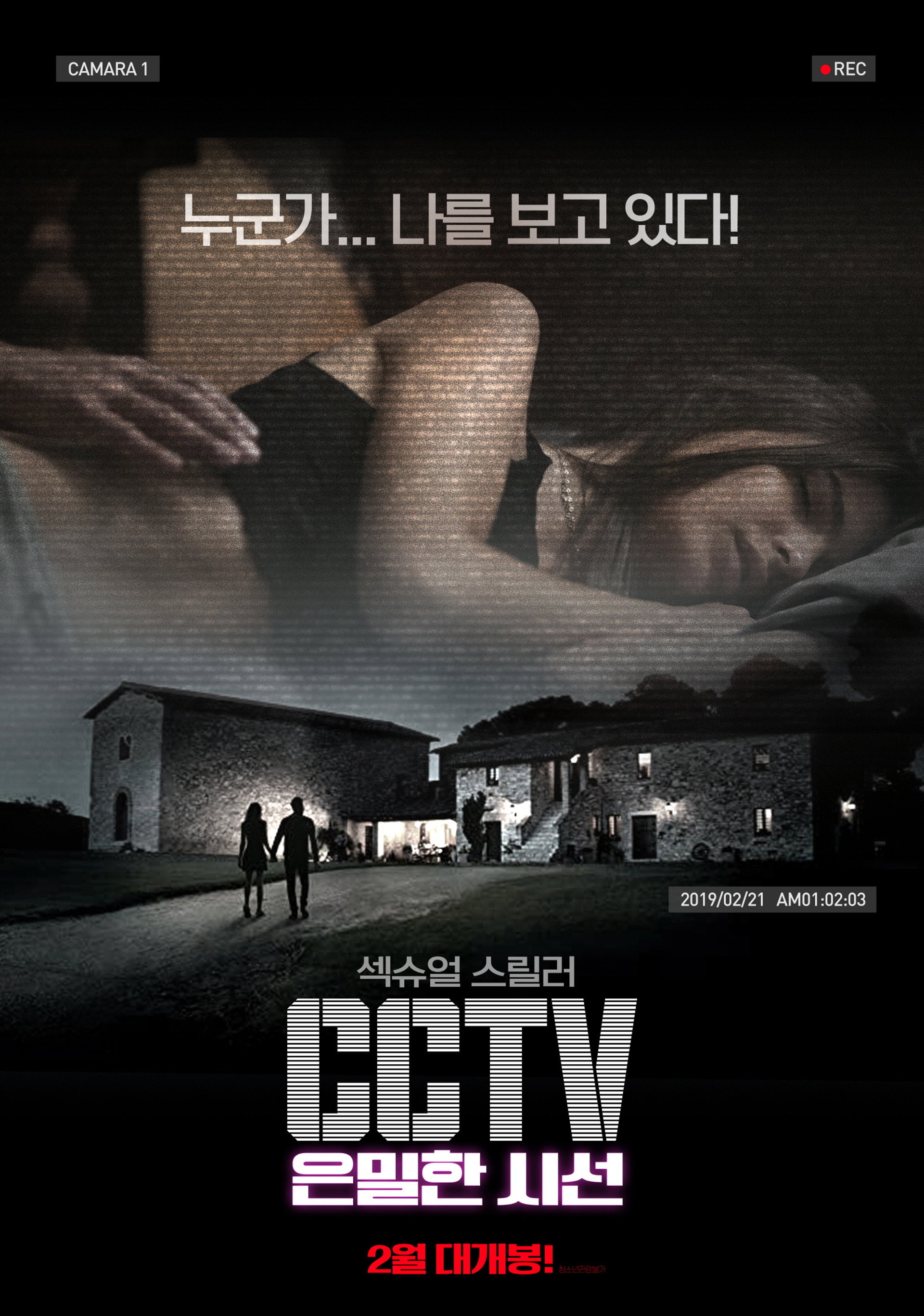 CCTV: 은밀한 시선