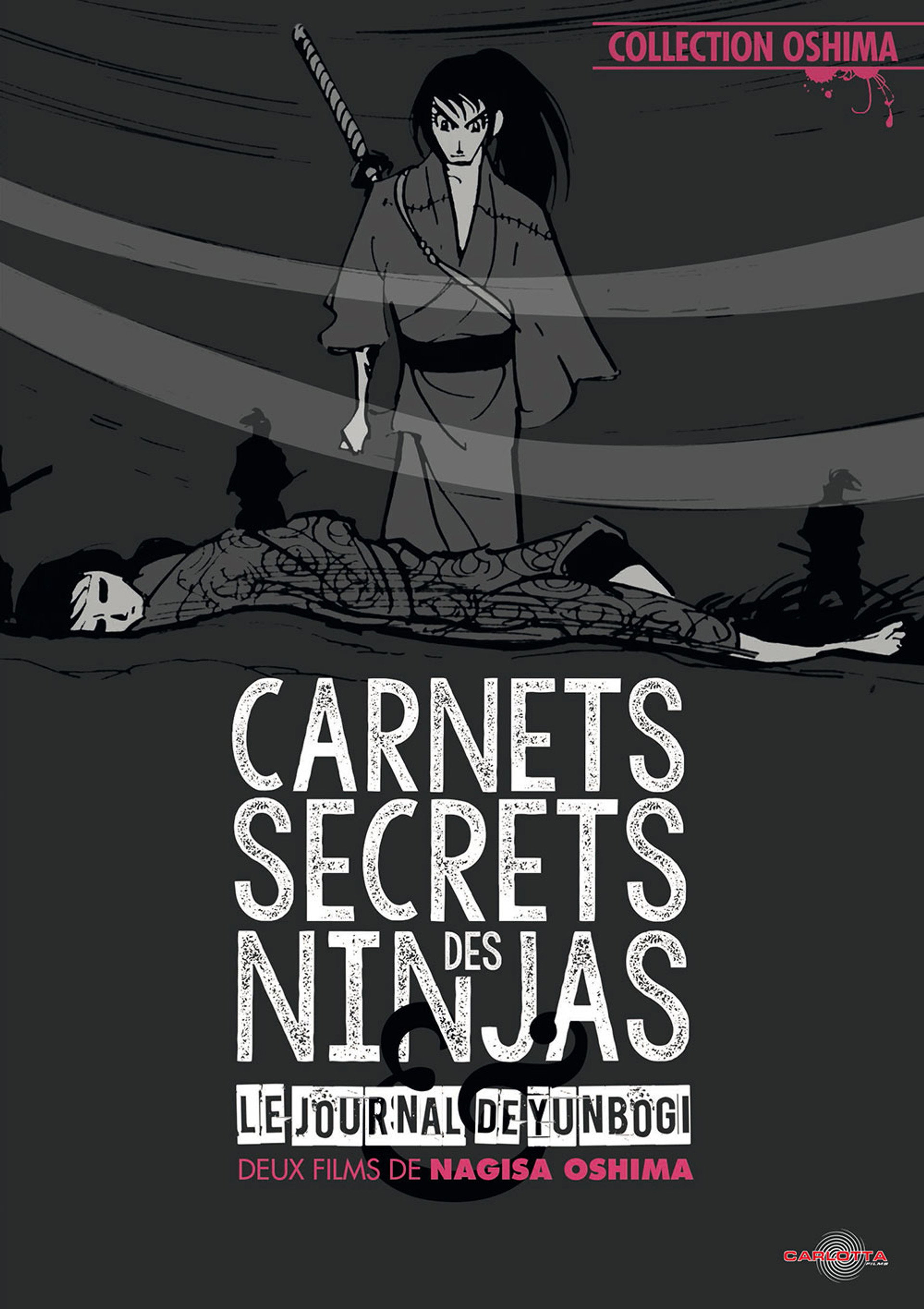 Carnets secrets des ninjas