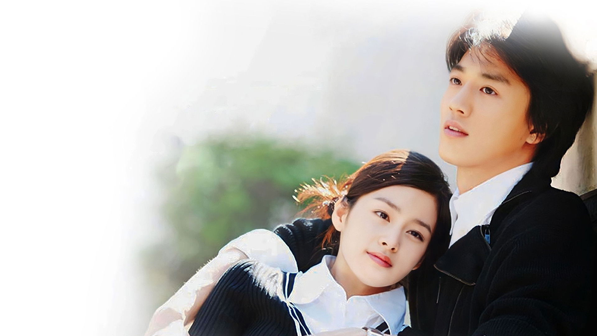 Love Story in Harvard