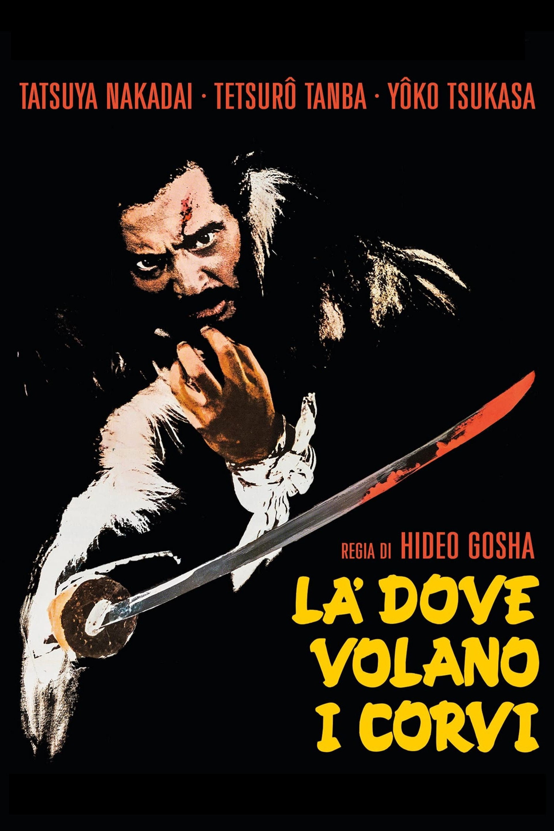 Là dove volano i corvi
