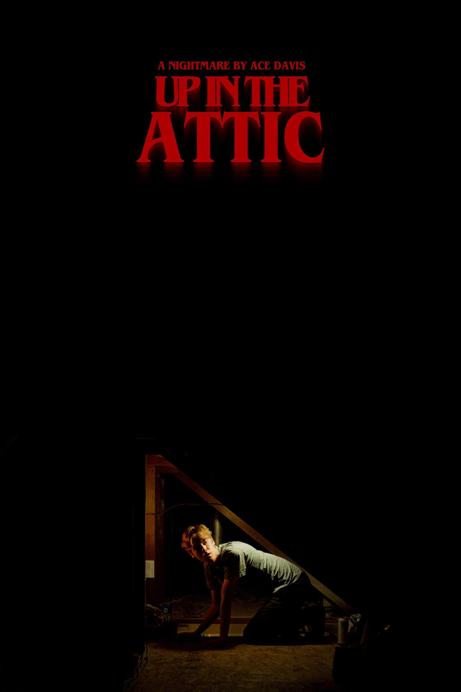 Up in the Attic