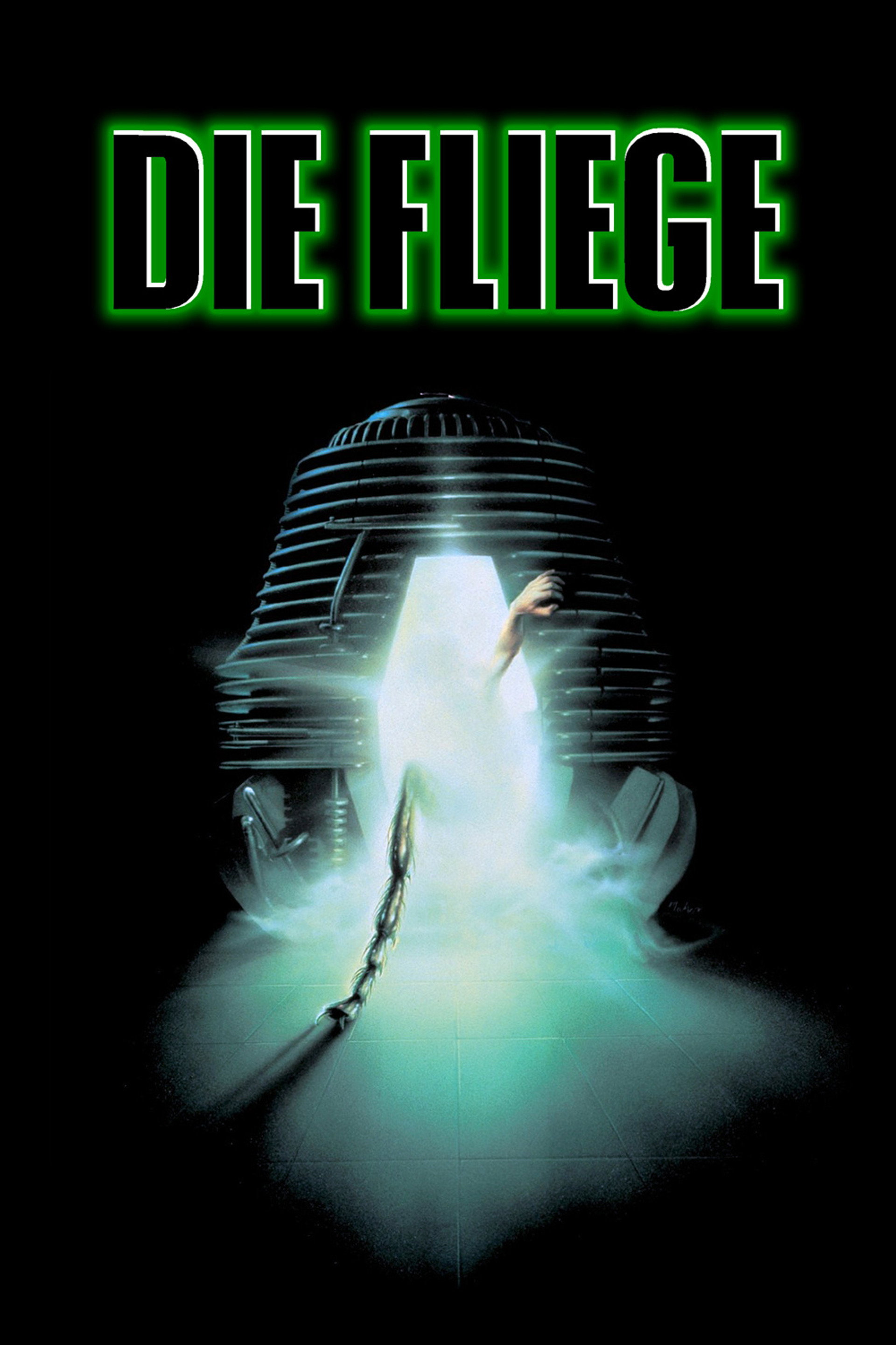 Die Fliege