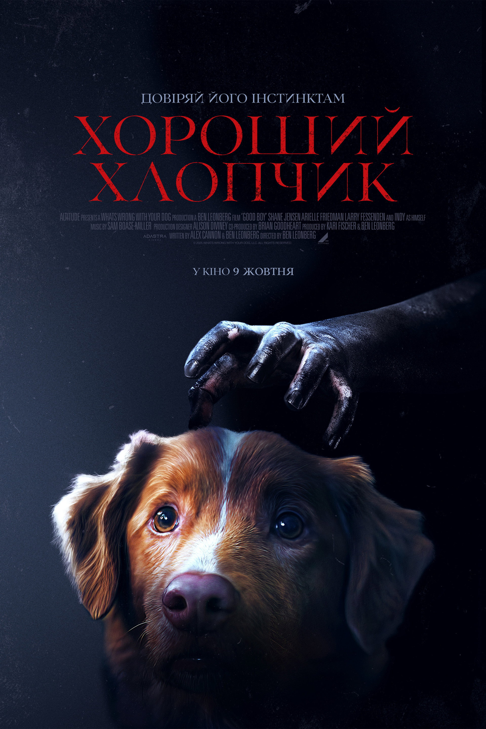 Хороший хлопчик