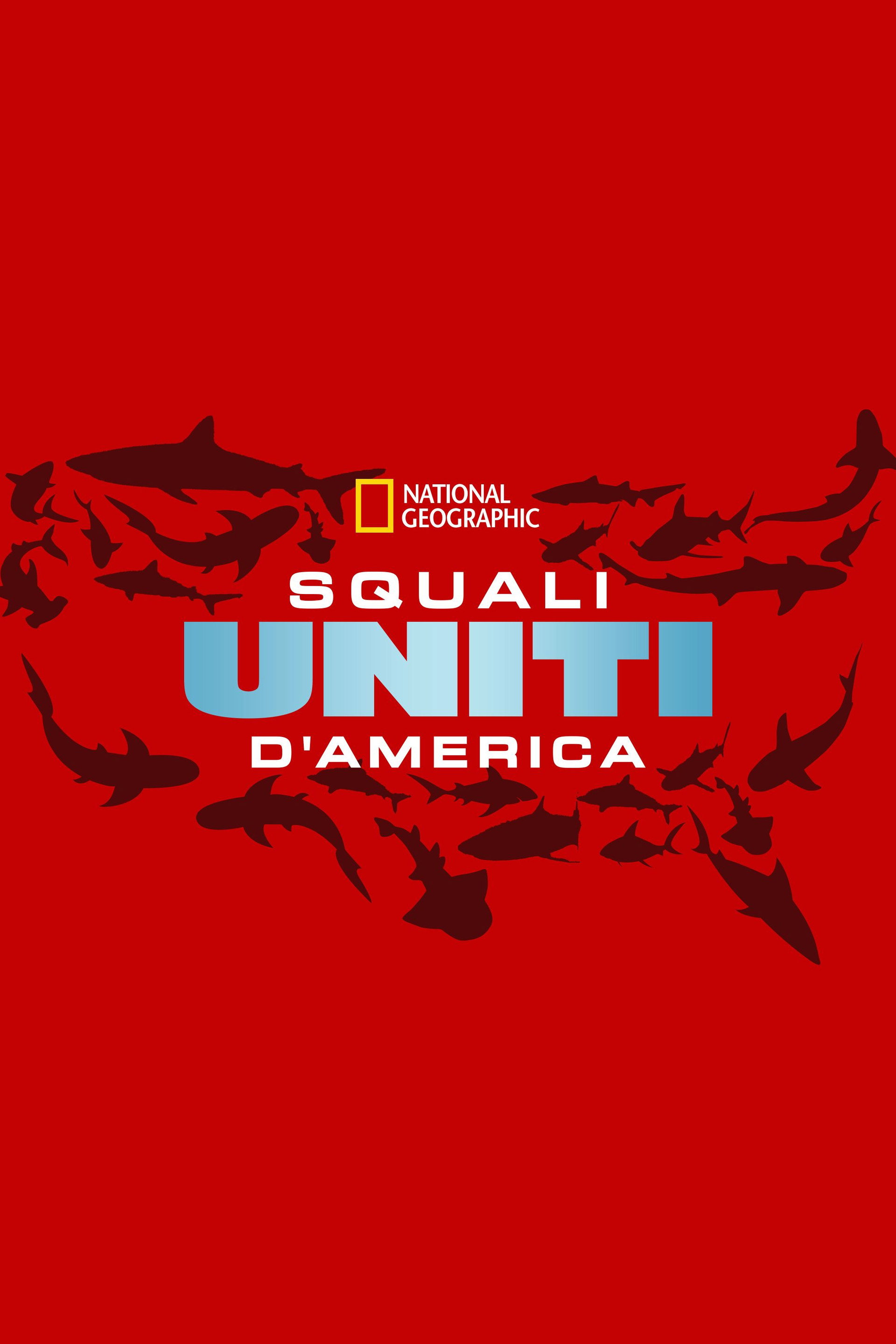 United Sharks of America