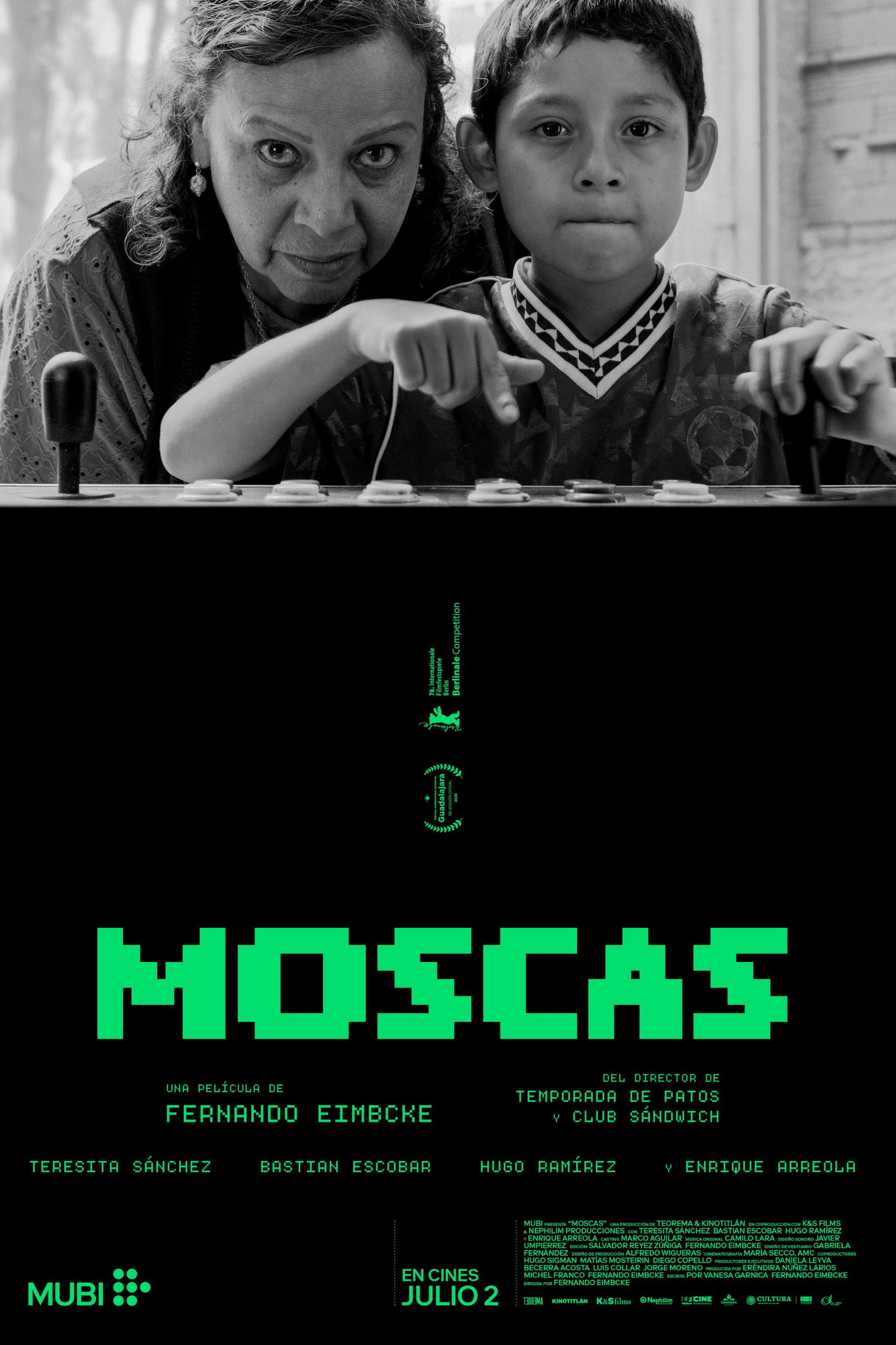 Moscas