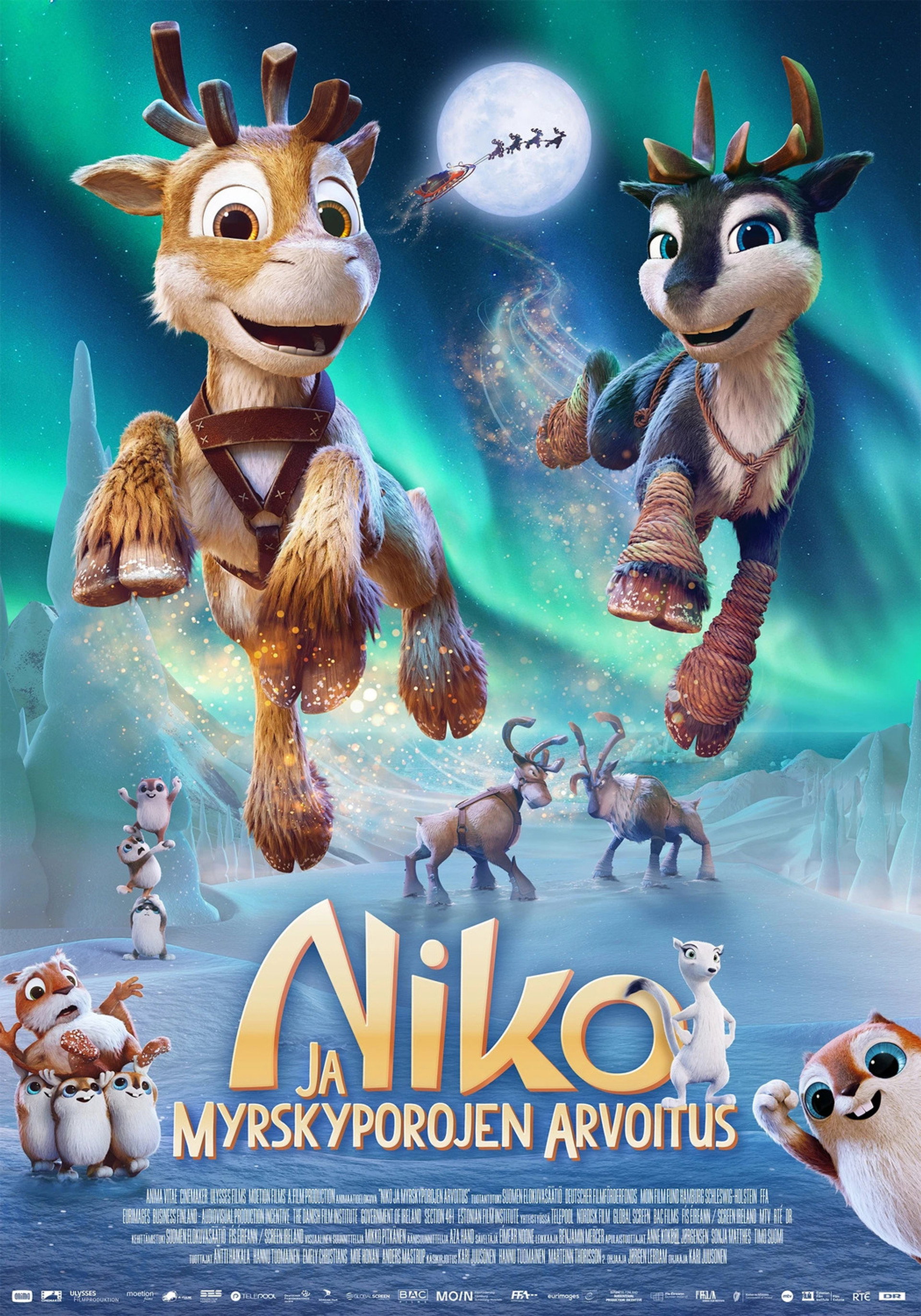 Niko ja myrskyporojen arvoitus