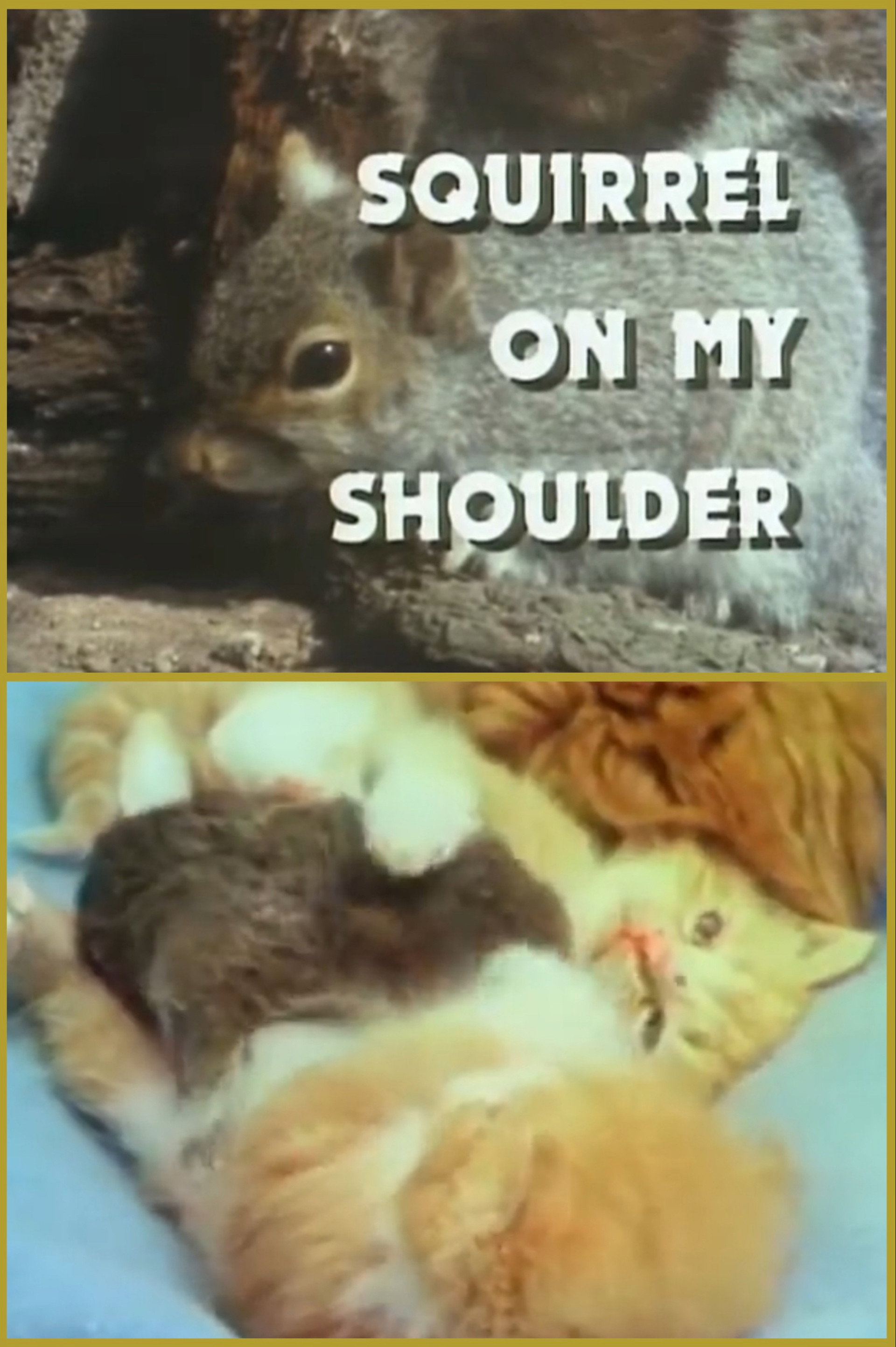 Squirrel on My Shoulder
