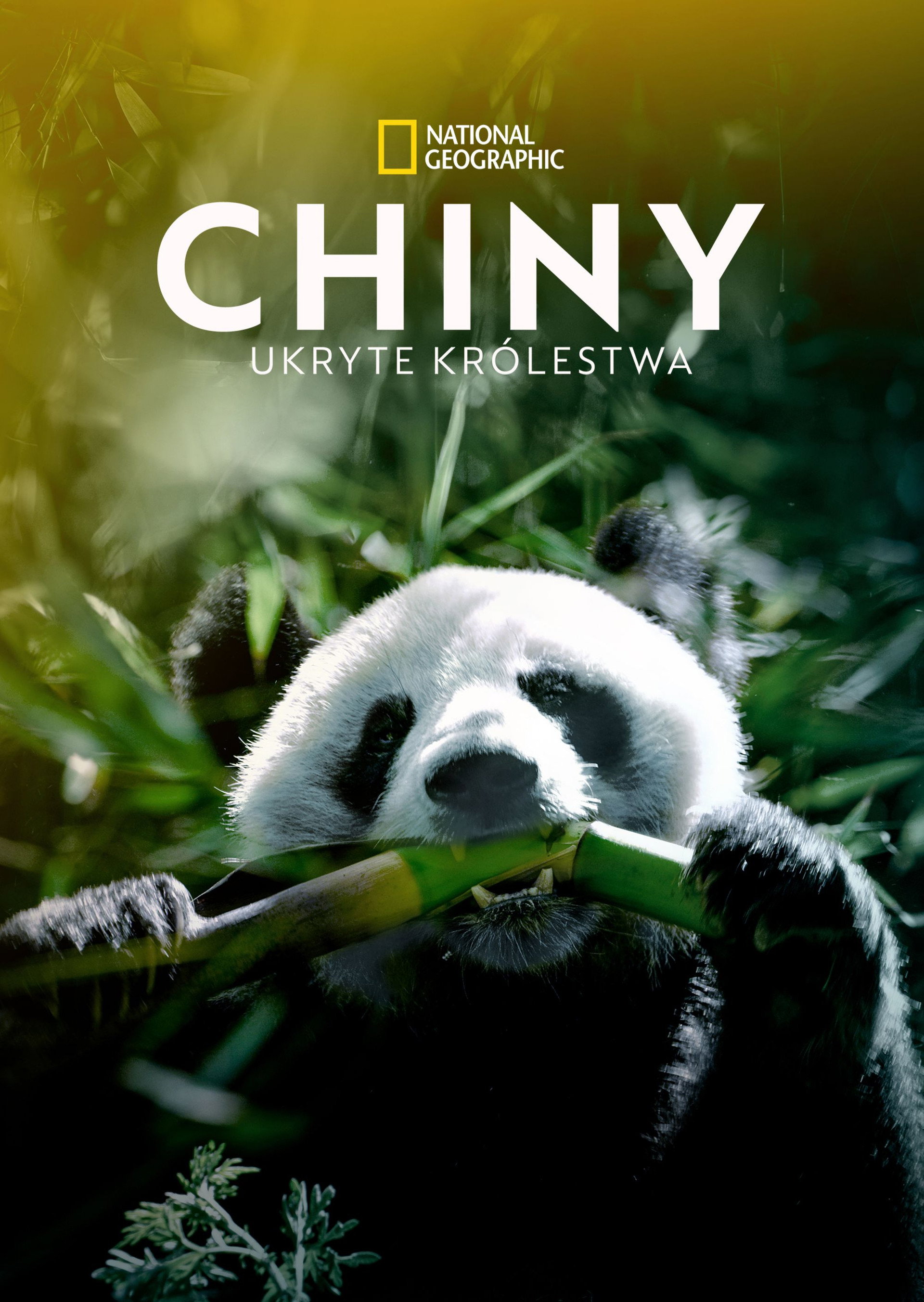 Chiny: ukryte królestwa