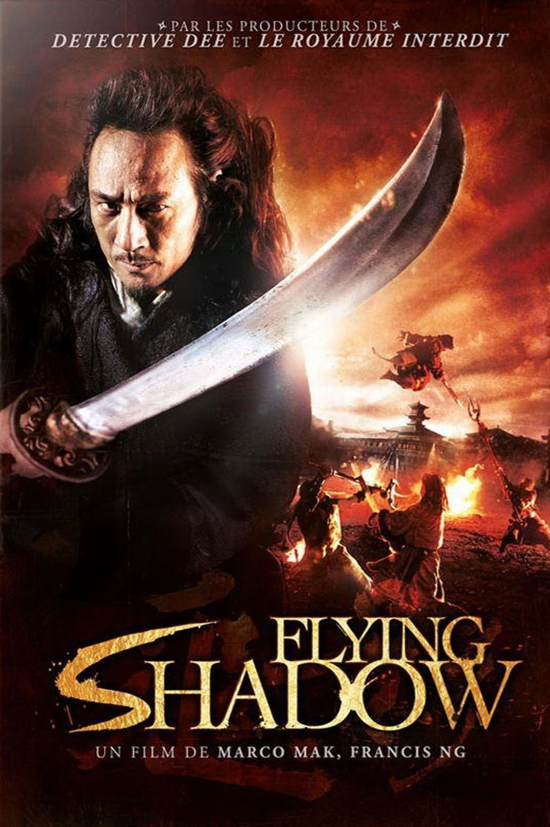 Flying Shadow
