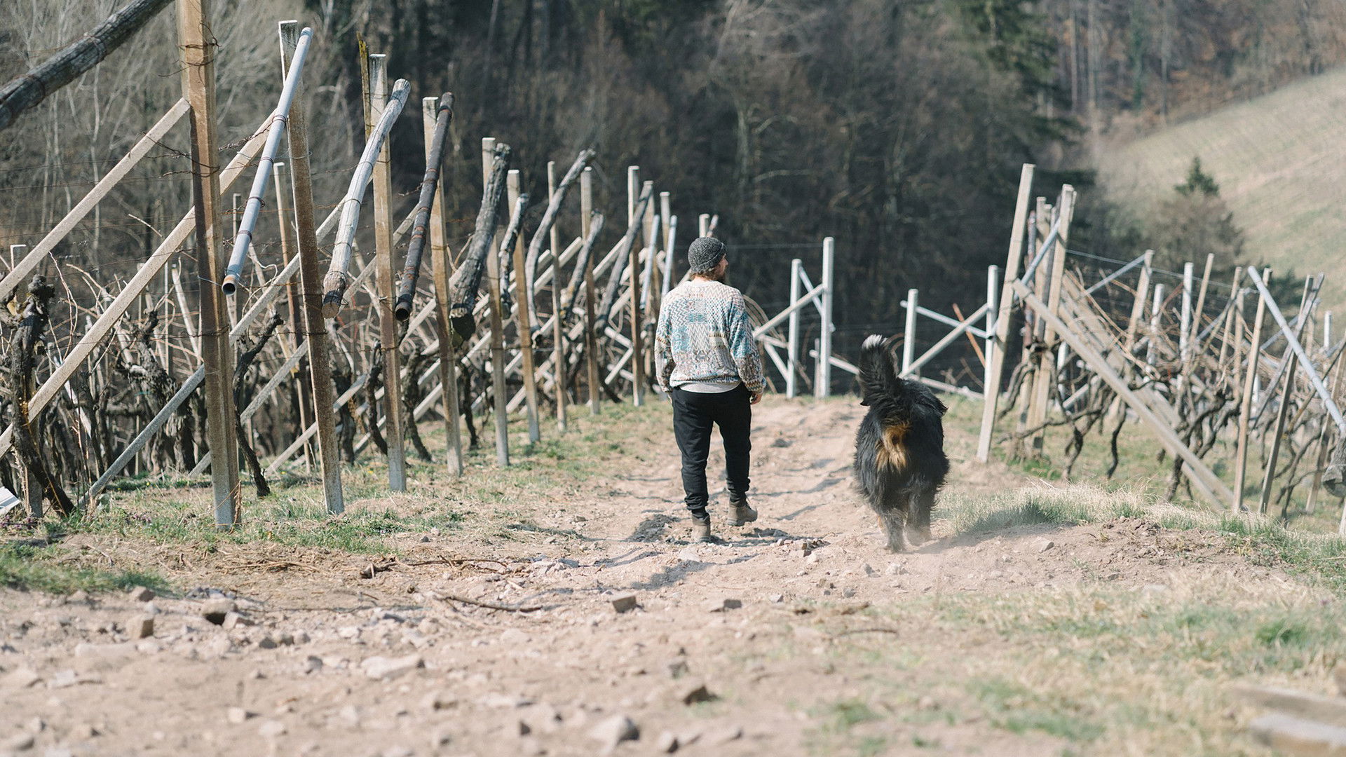 A Body That Works (aka) Rispet