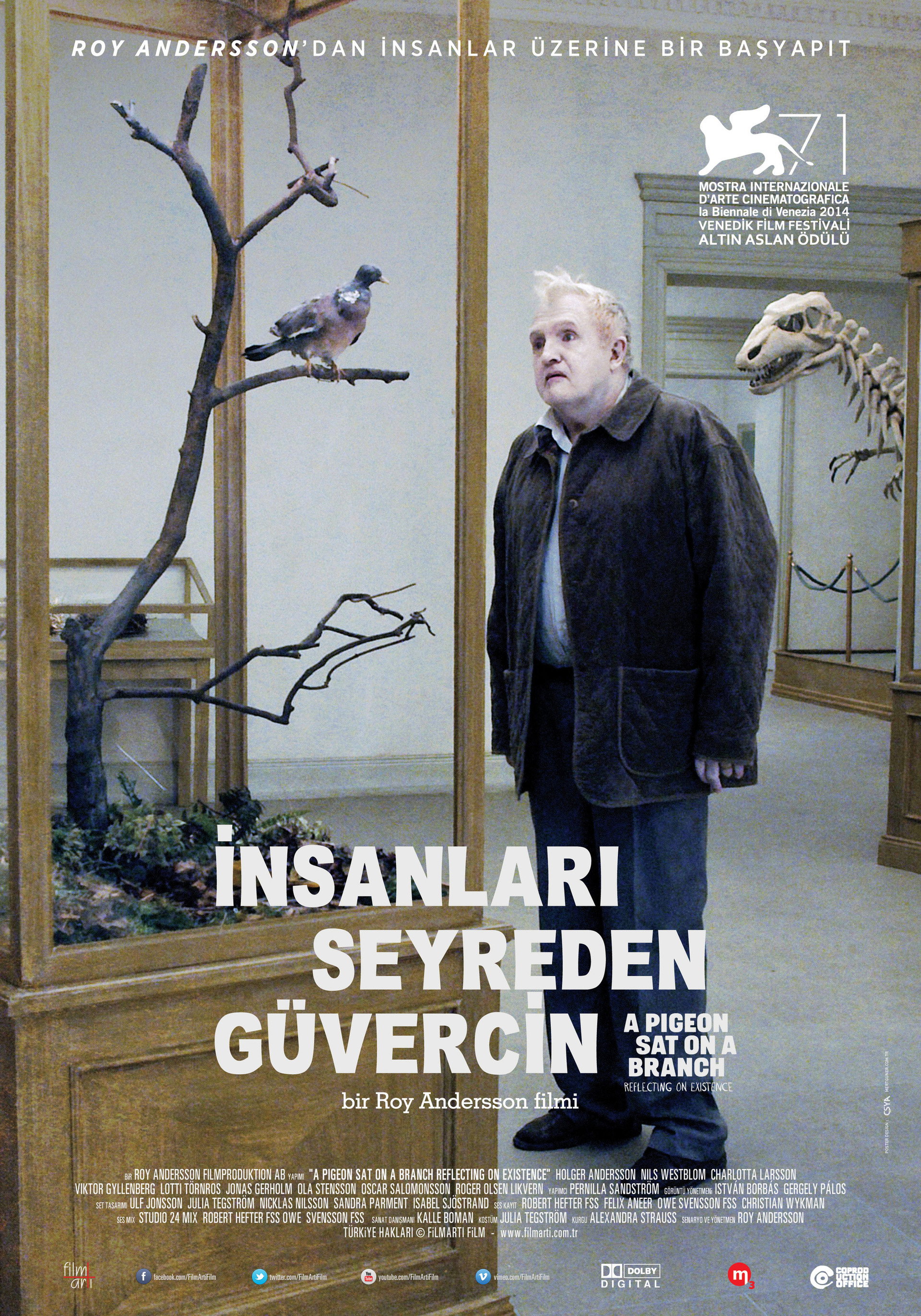 İnsanları Seyreden Güvercin