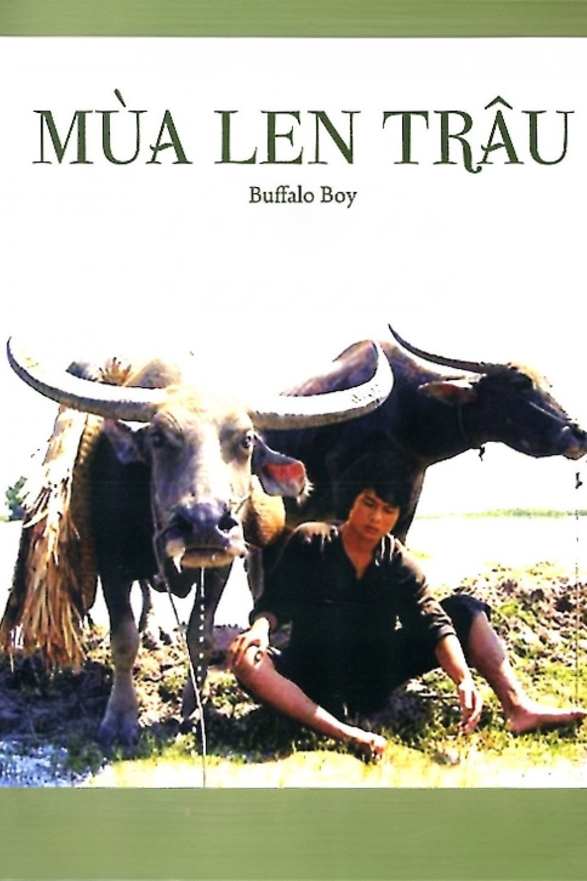 Mùa len trâu