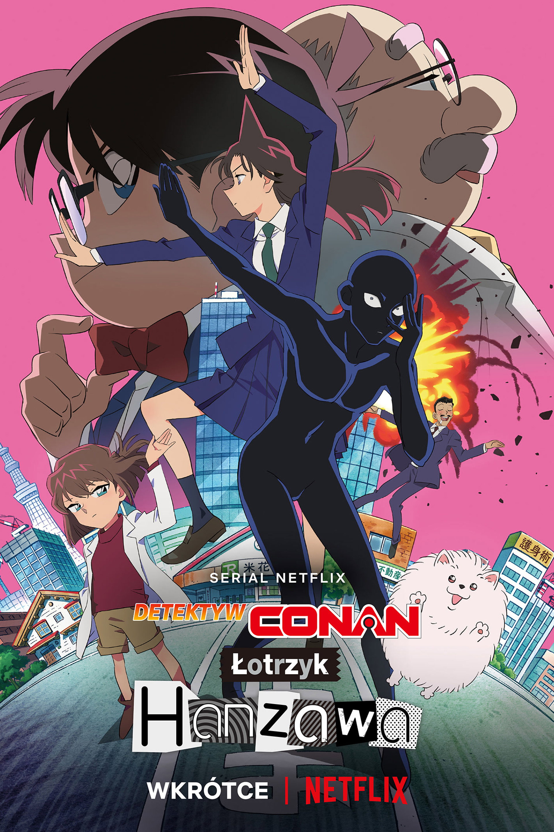 Detektyw Conan: Łotrzyk Hanzawa