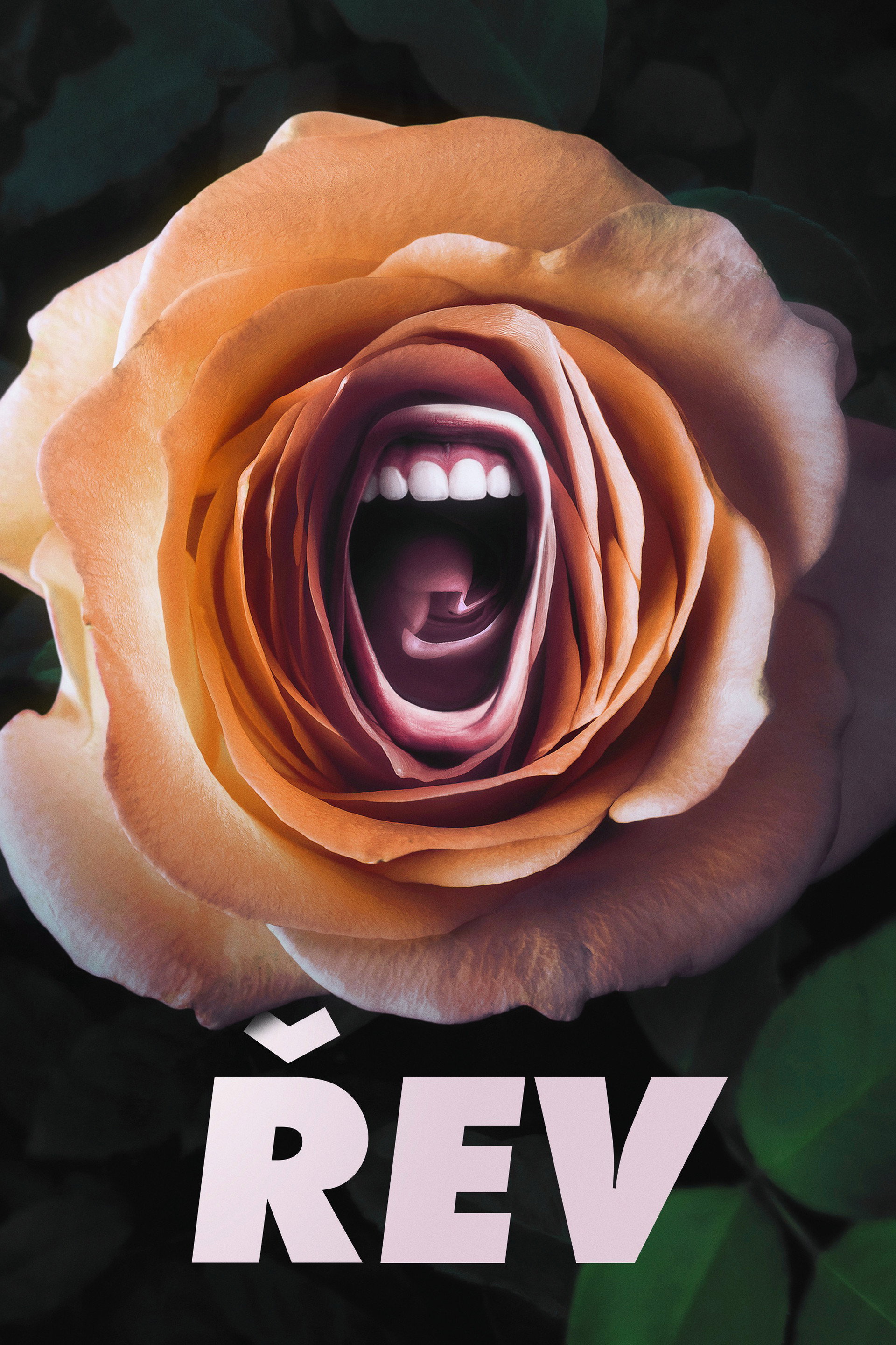 Řev