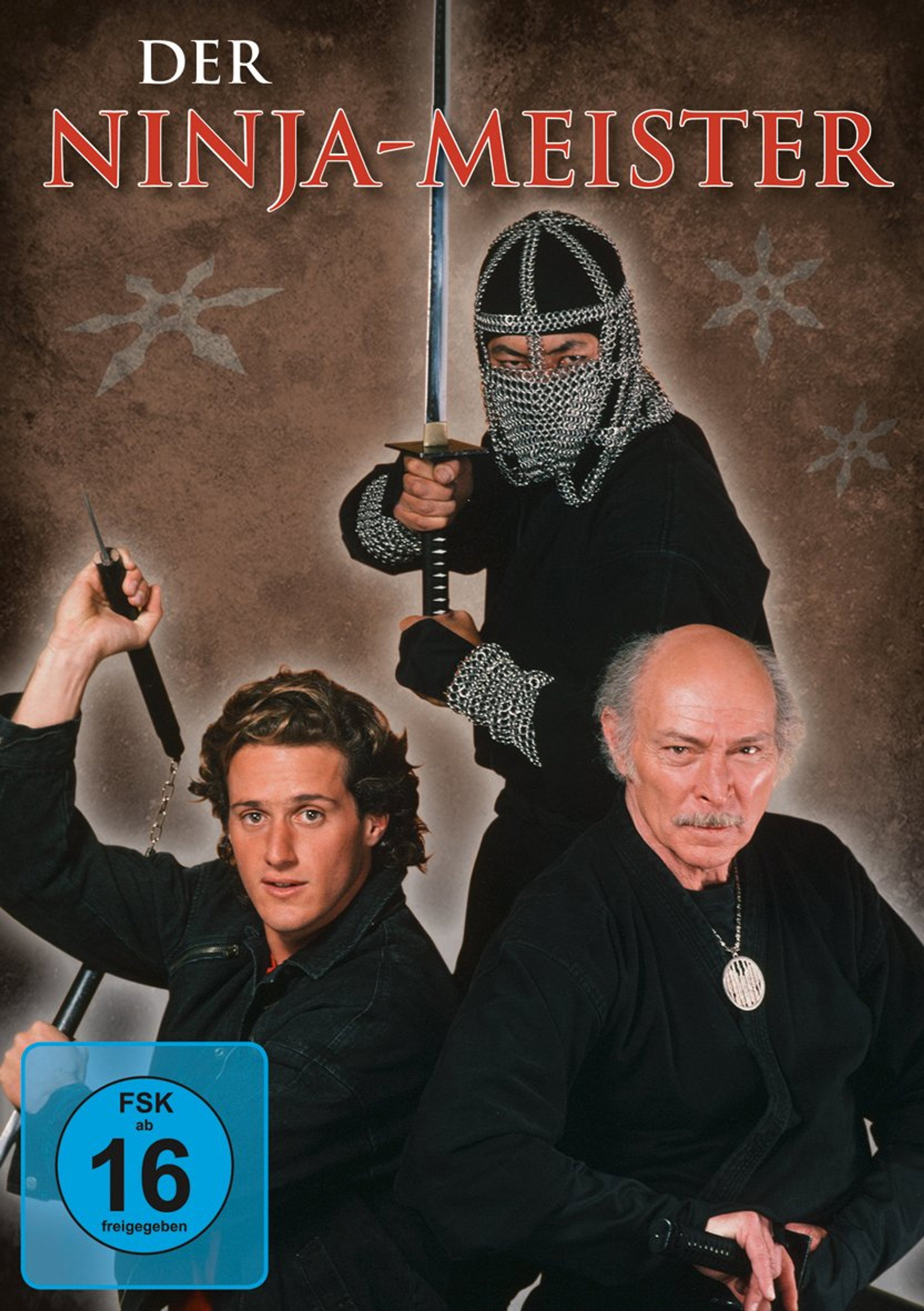 Der Ninja-Meister
