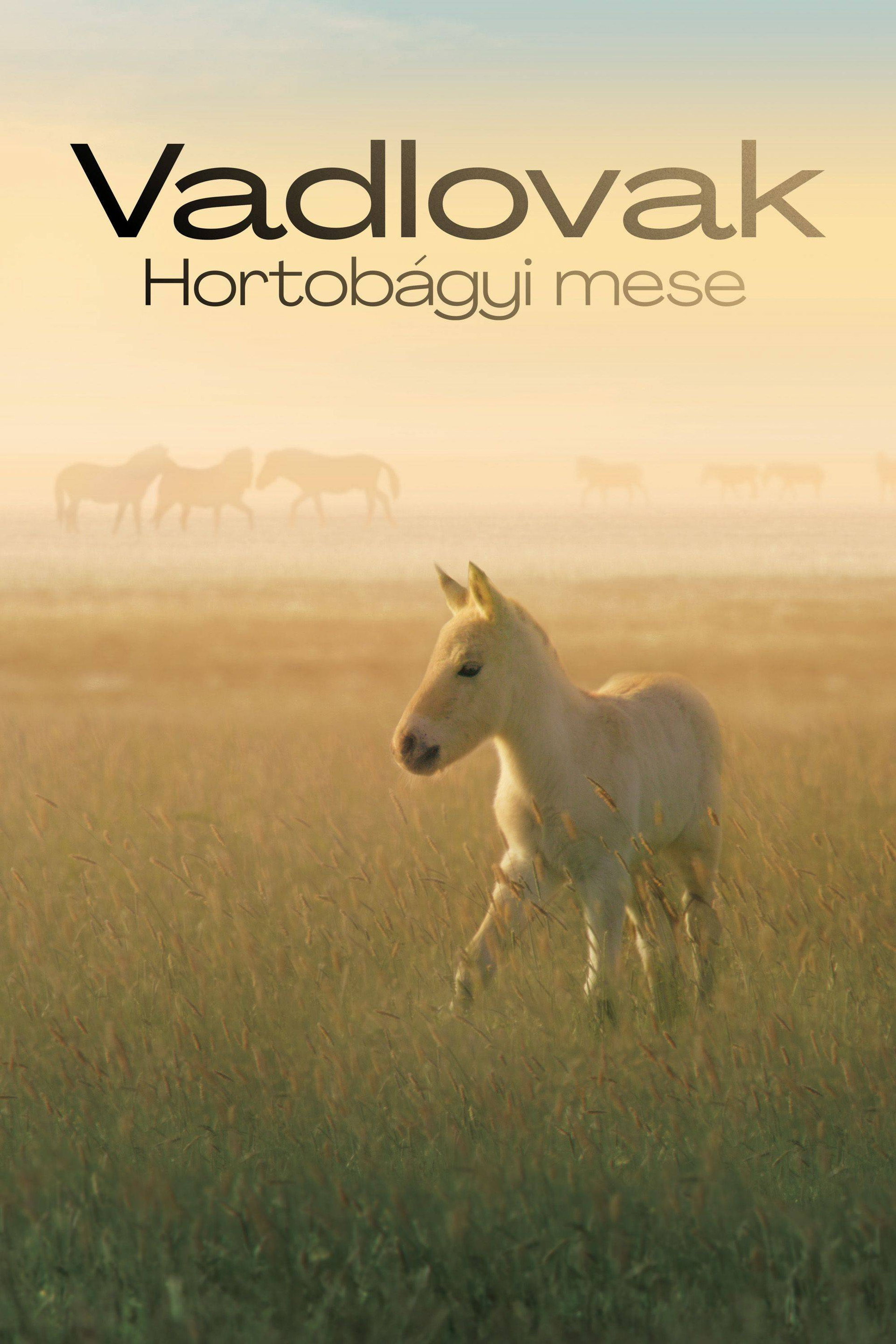 Los caballos salvajes de Hungria: Una historia de Puszta