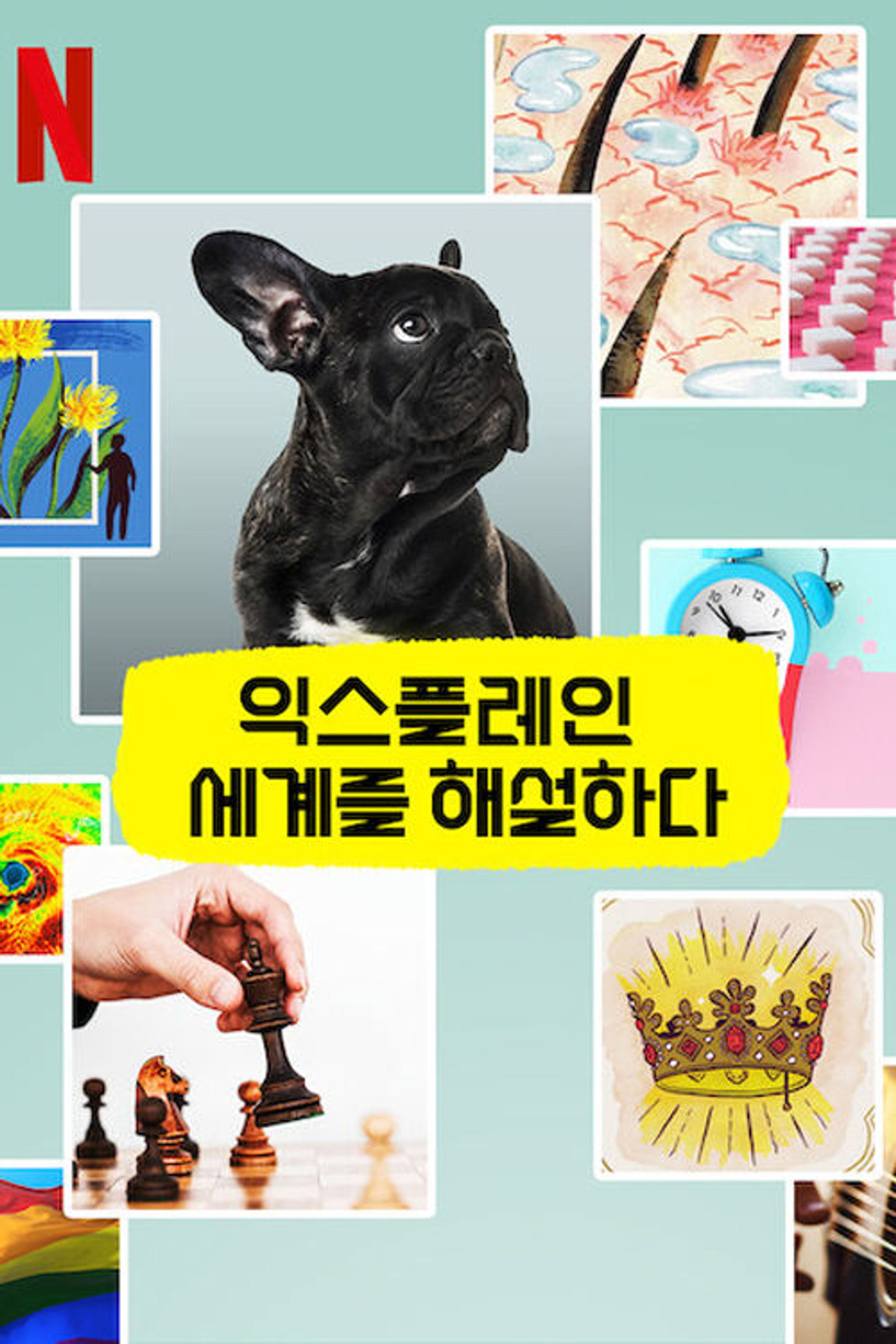 익스플레인: 세계를 해설하다