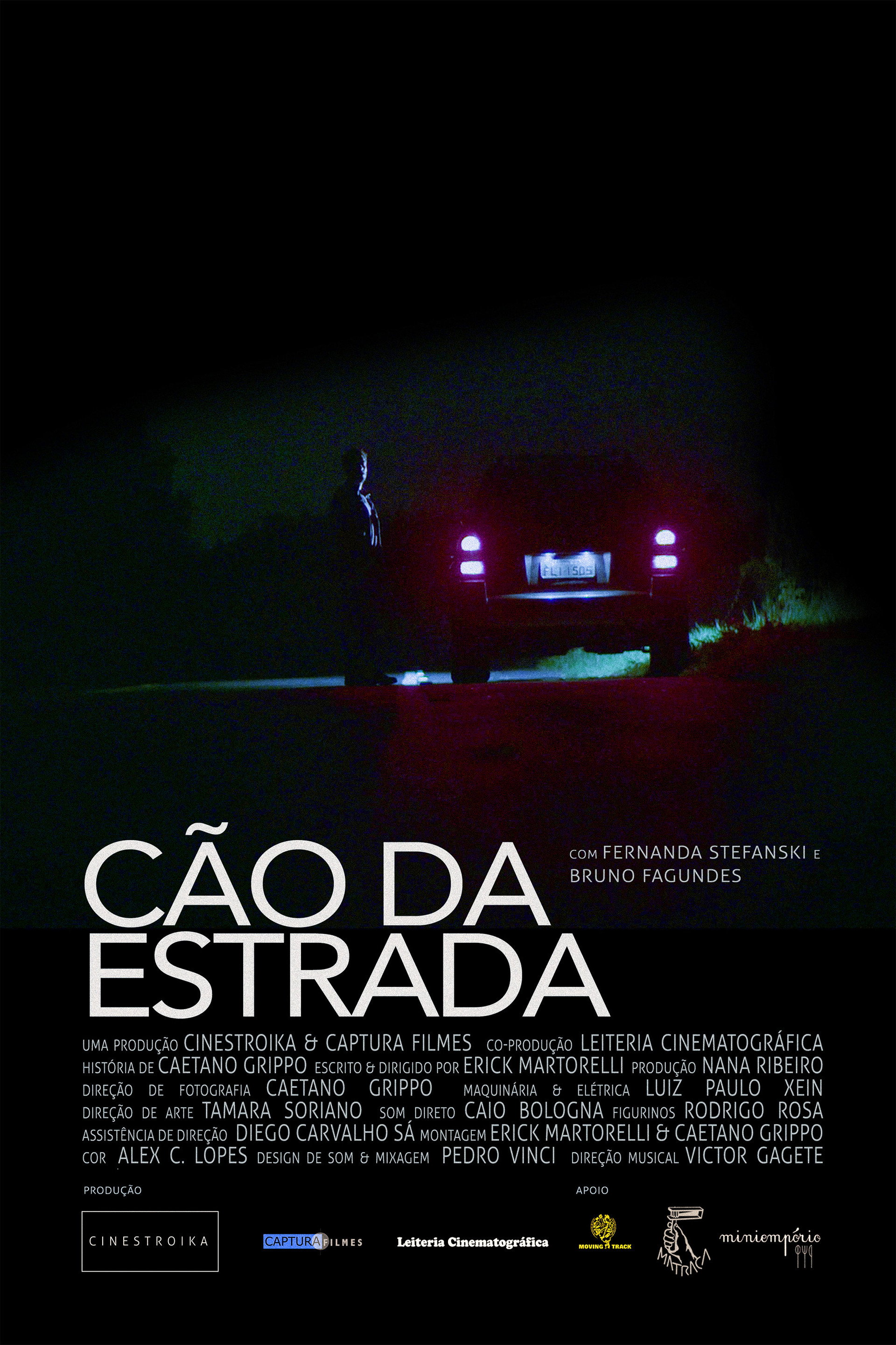 Cão da Estrada