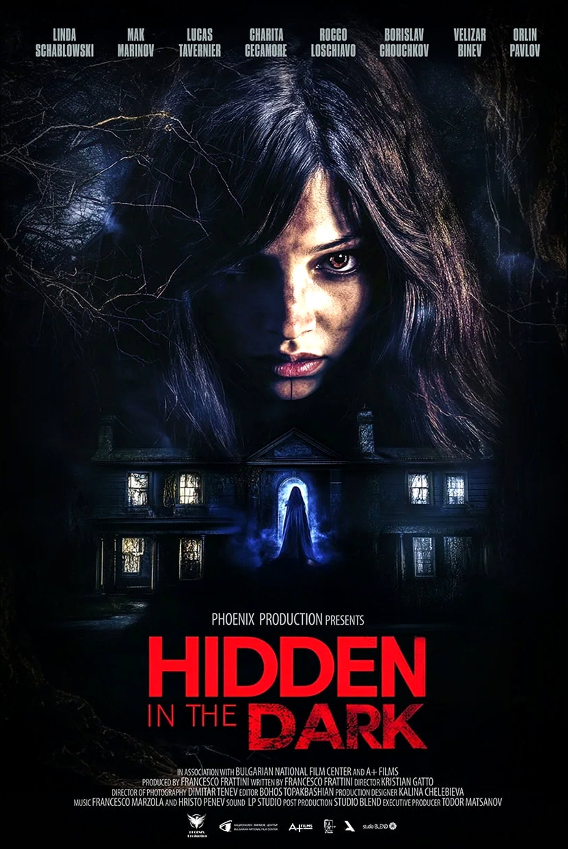 Hidden in the Dark