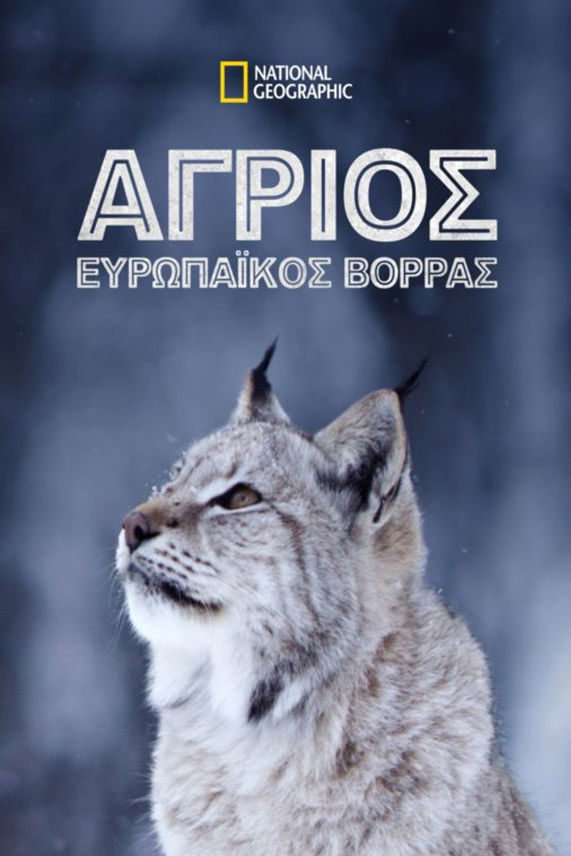 Άγριος Ευρωπαϊκός Βορράς