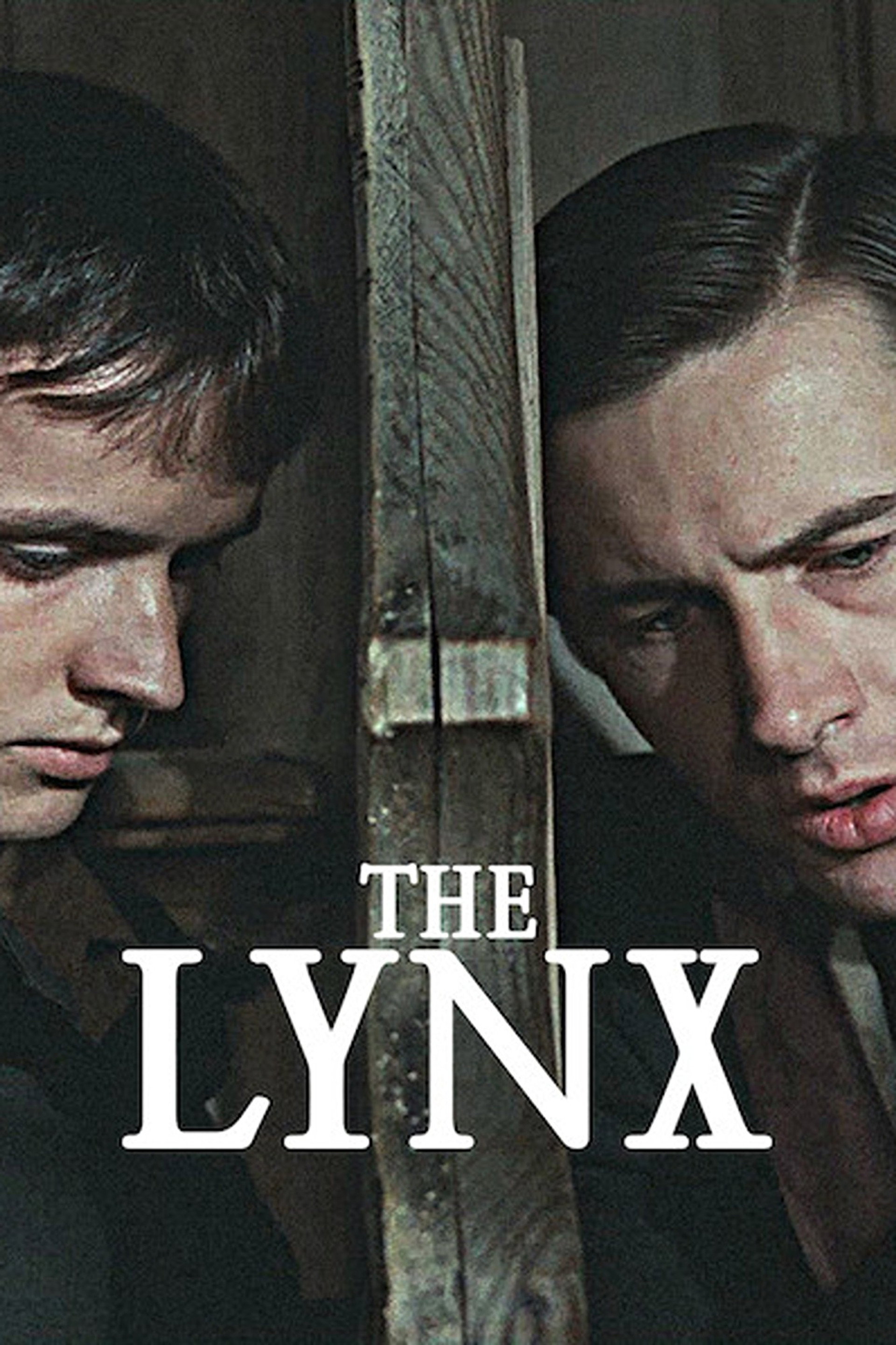 The Lynx