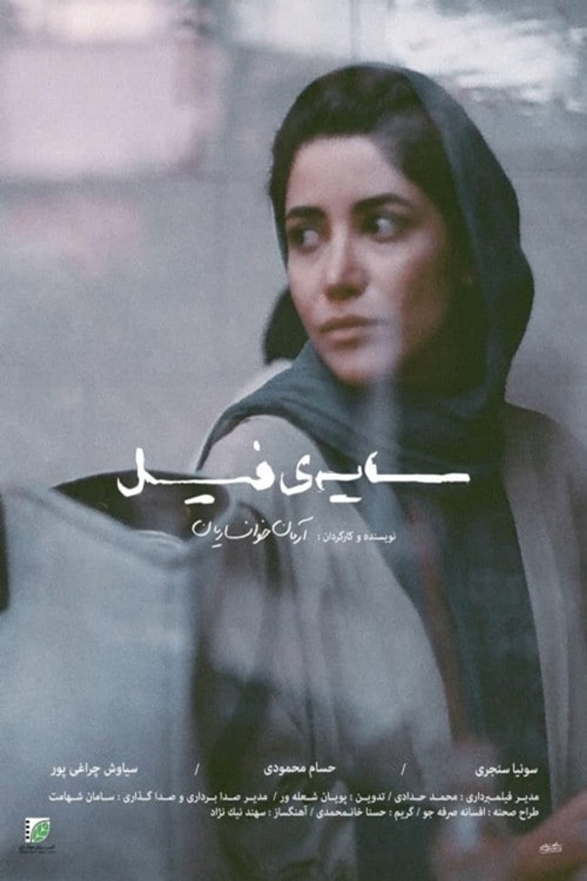 سایهی فیل