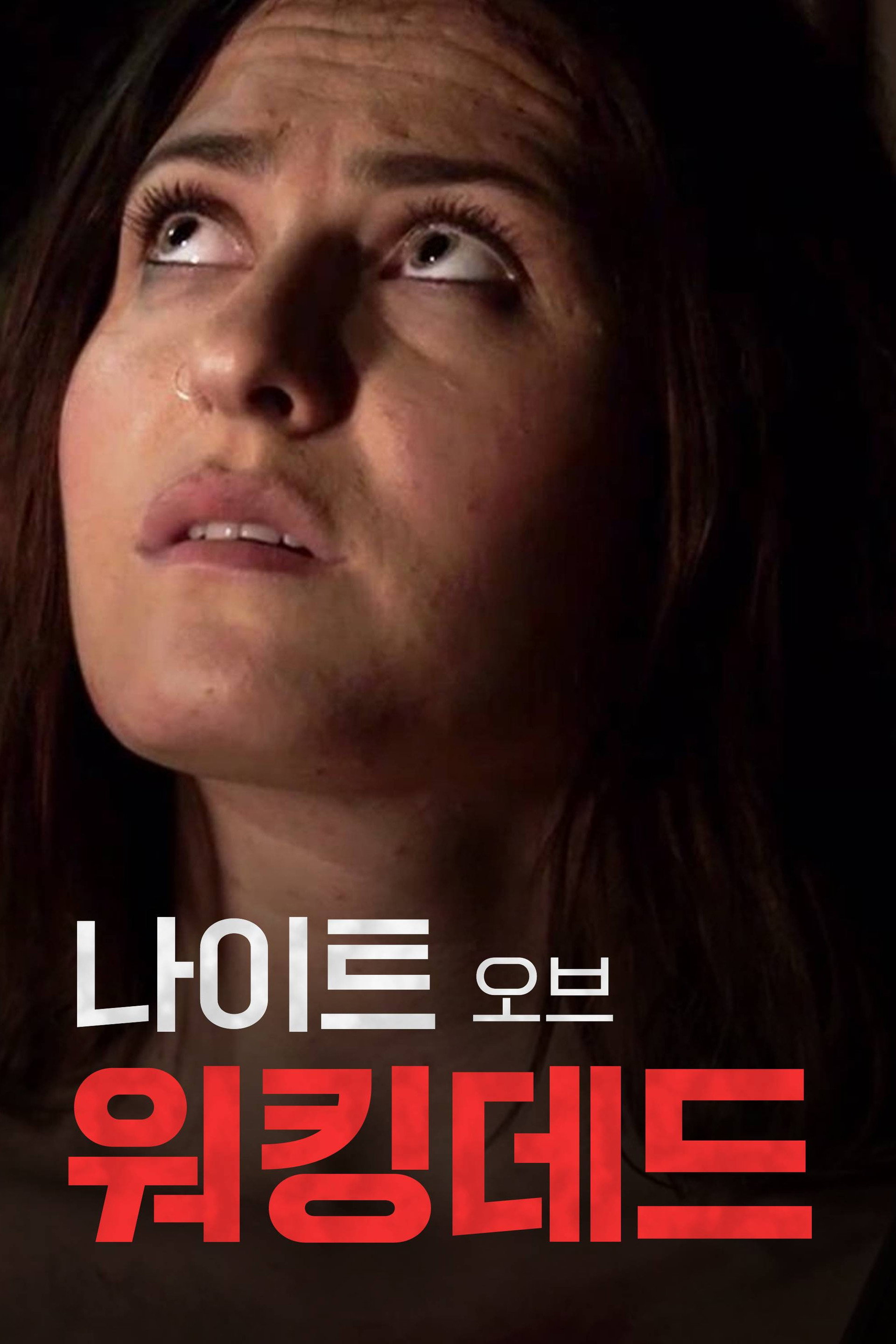 나이트 오브 워킹데드