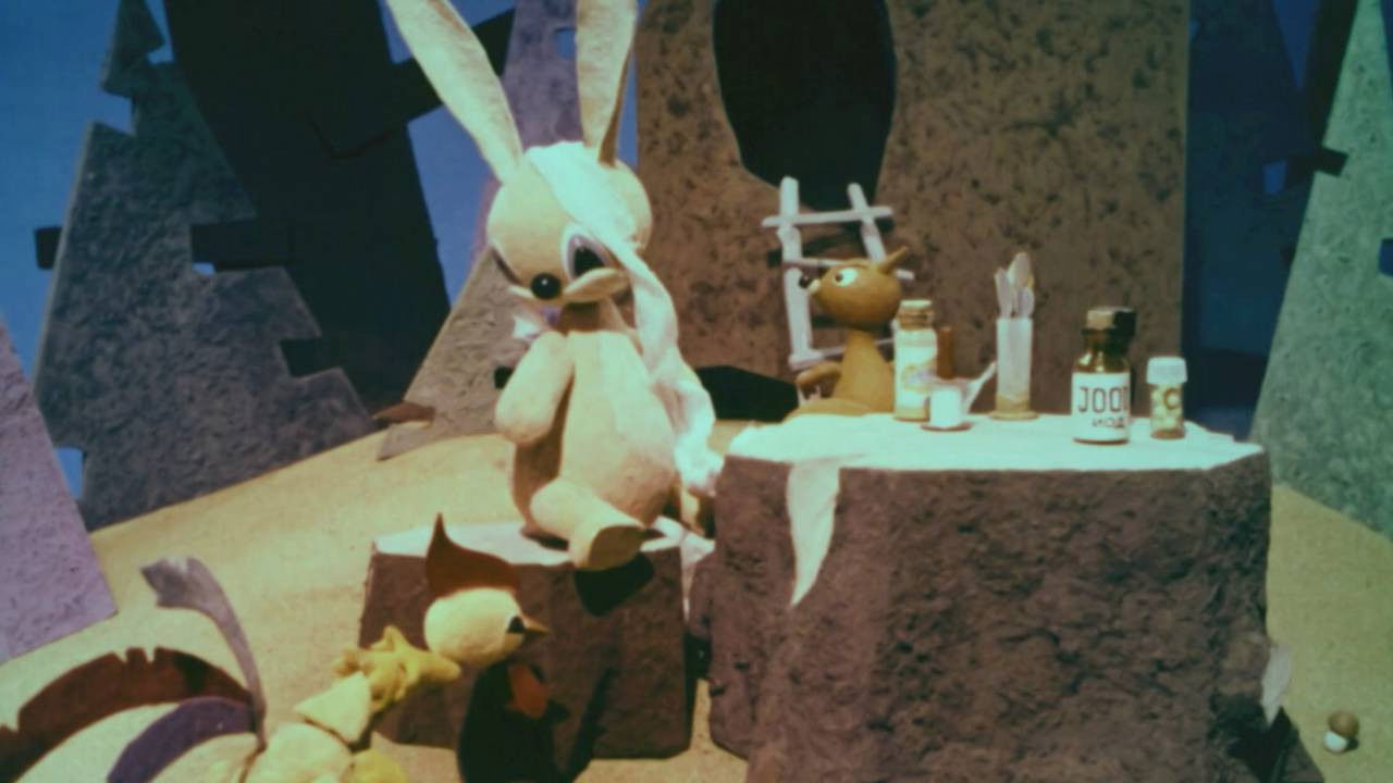 Animal Acupuncturists