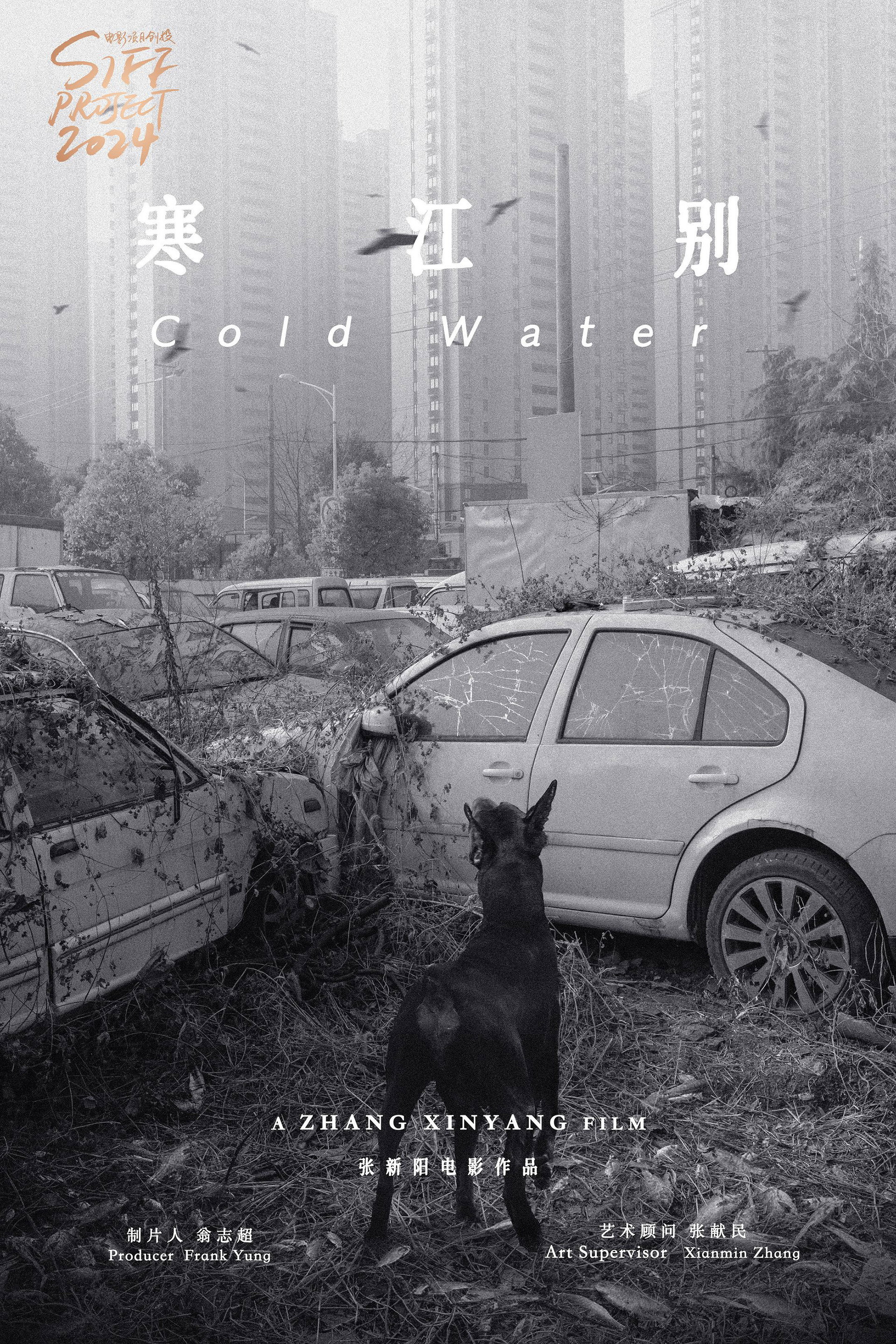 伤寒杂病论