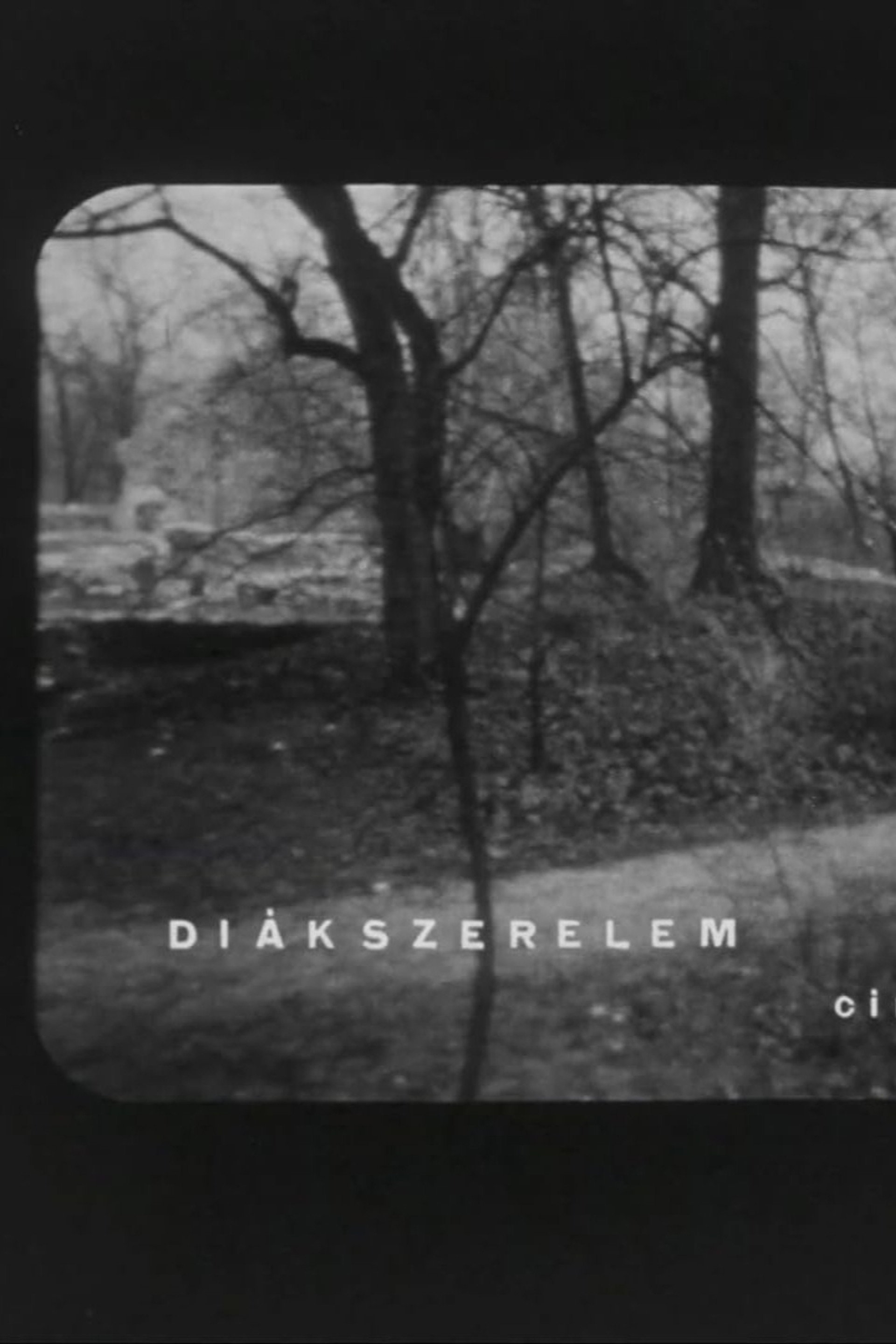 Diákszerelem