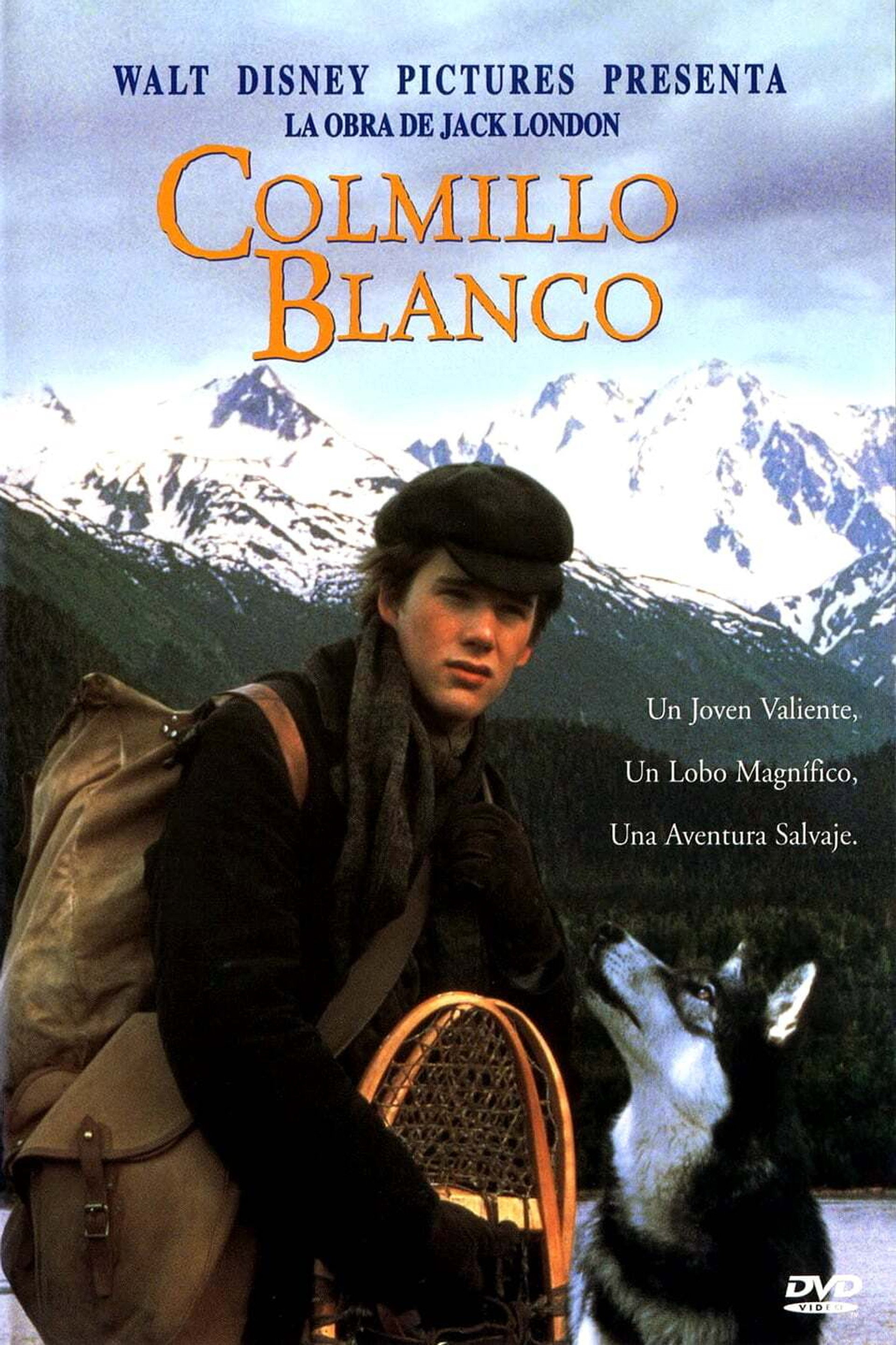 Colmillo blanco