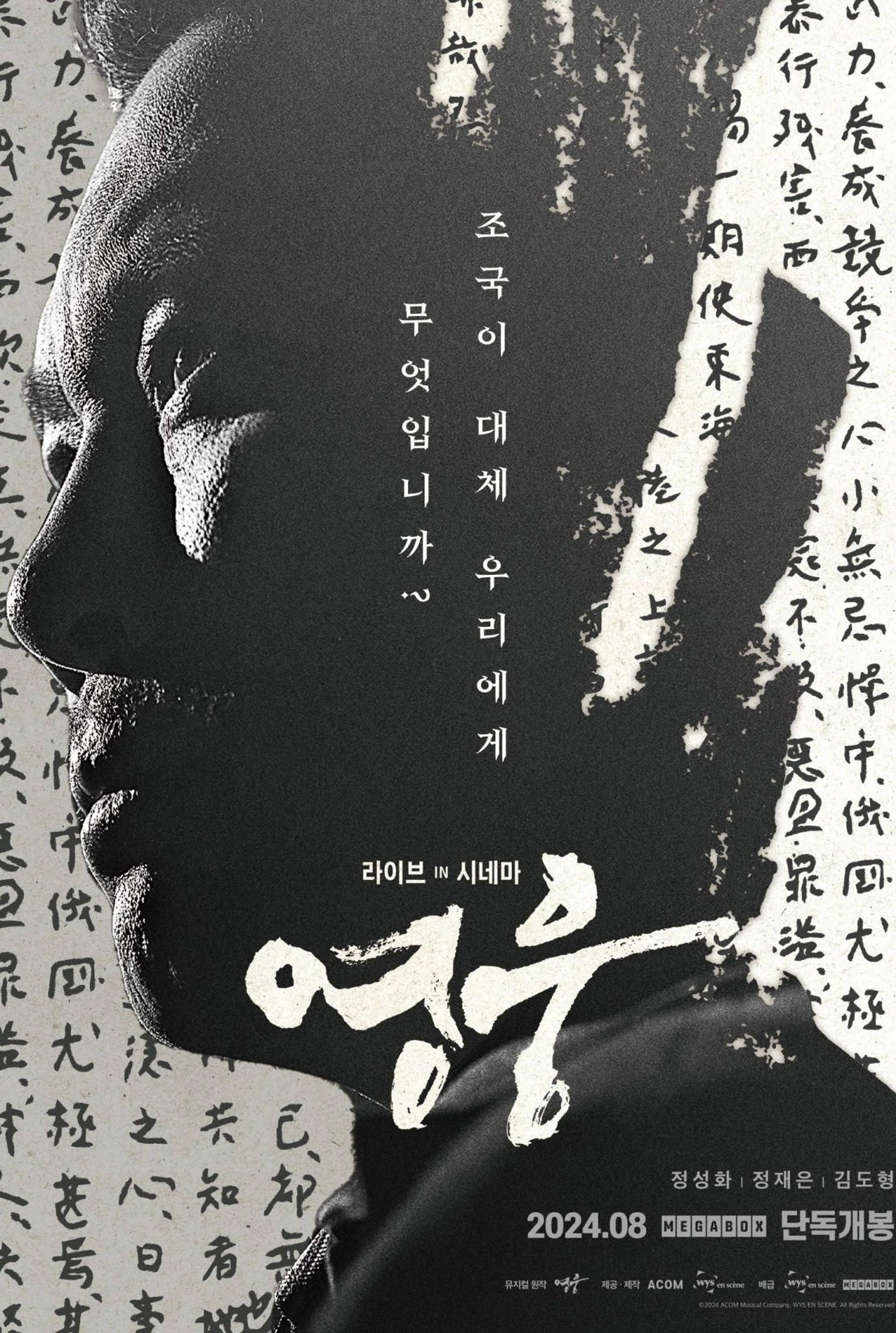 영웅: 라이브 인 시네마