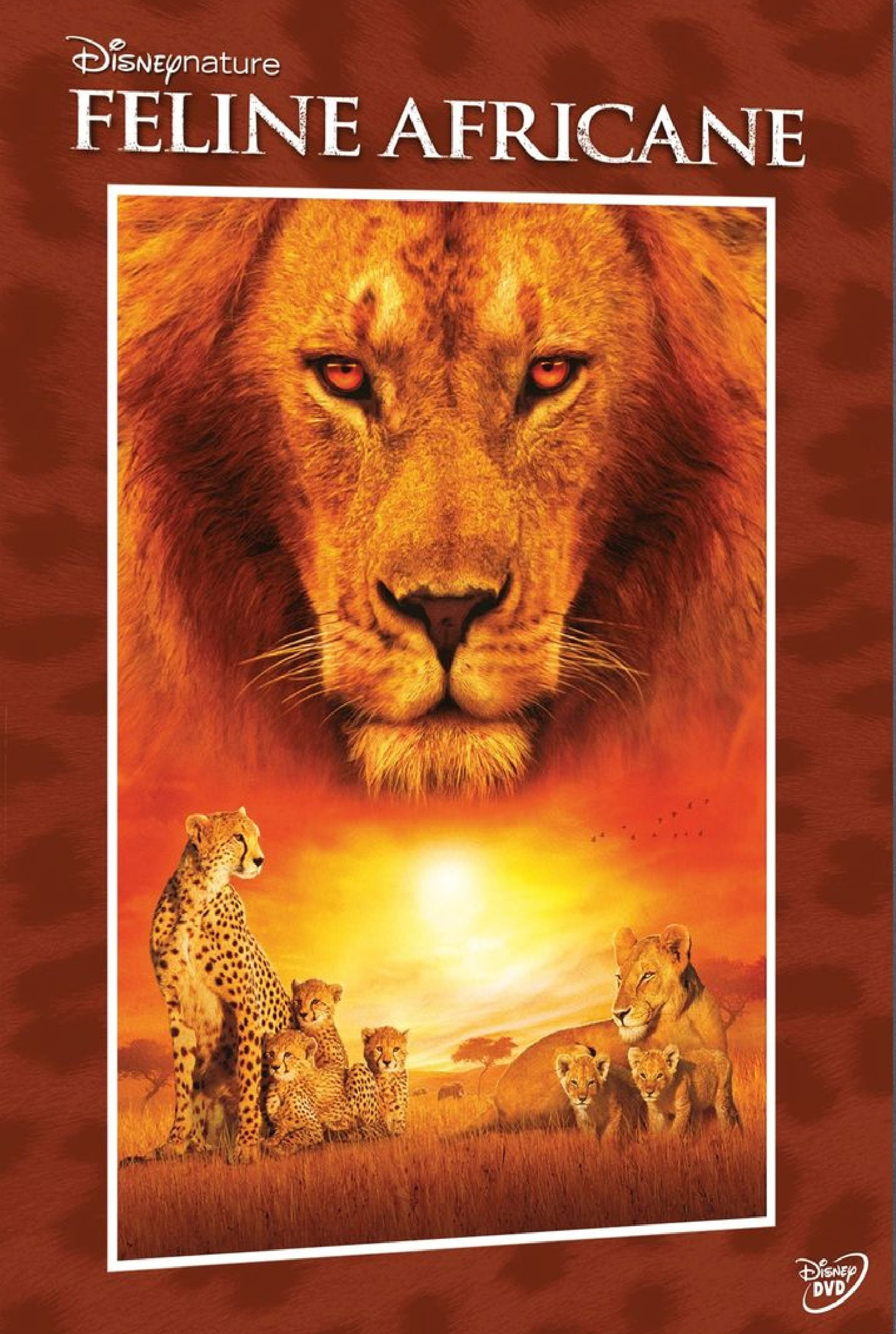 Felinele africane