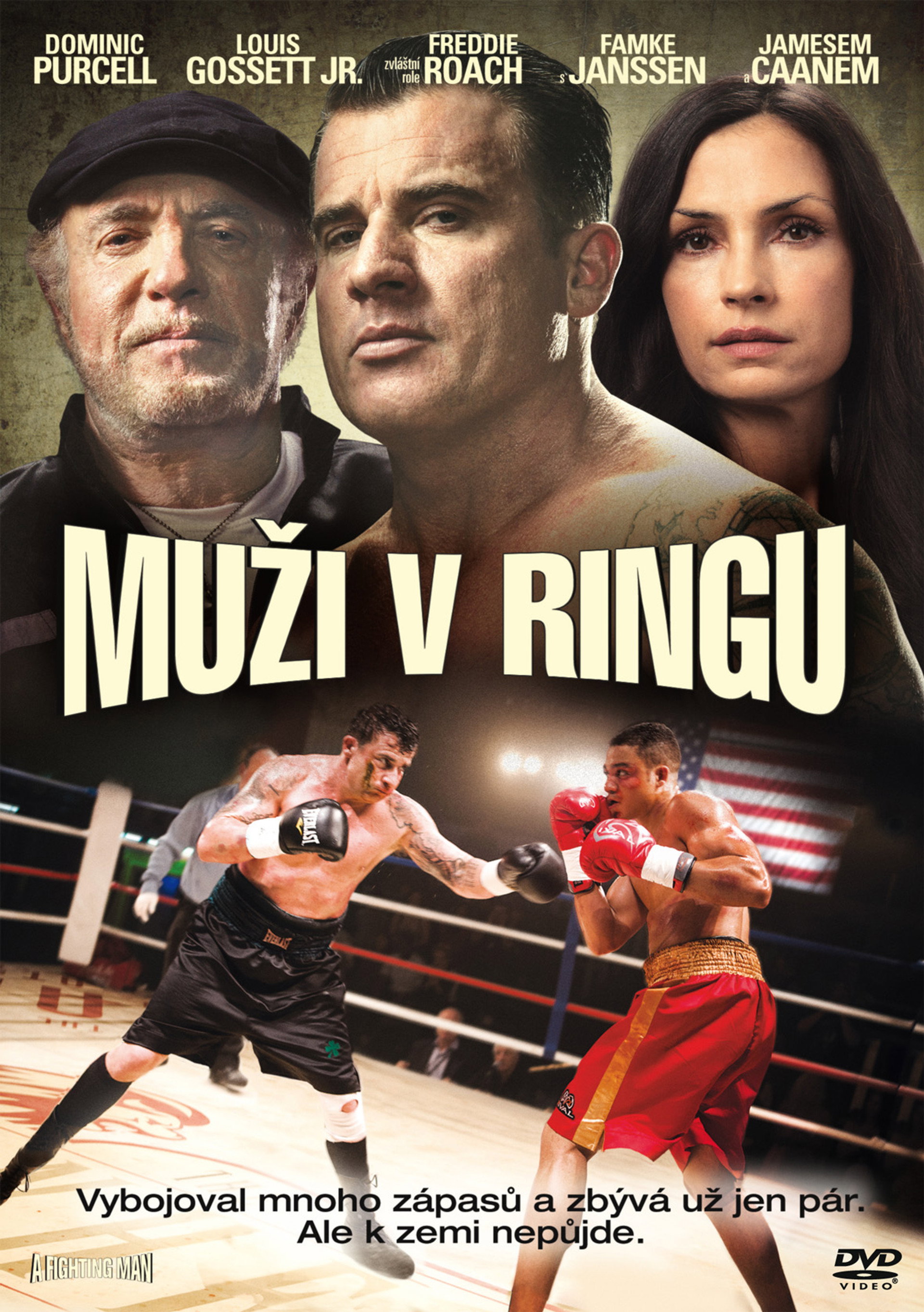 Muži v ringu