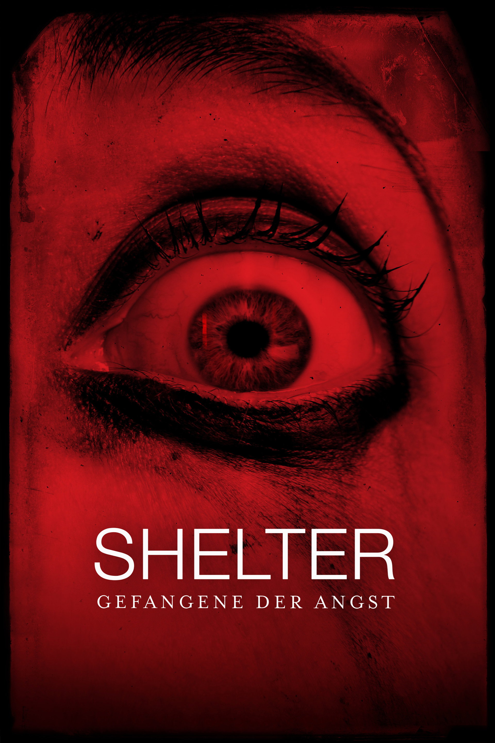 Shelter