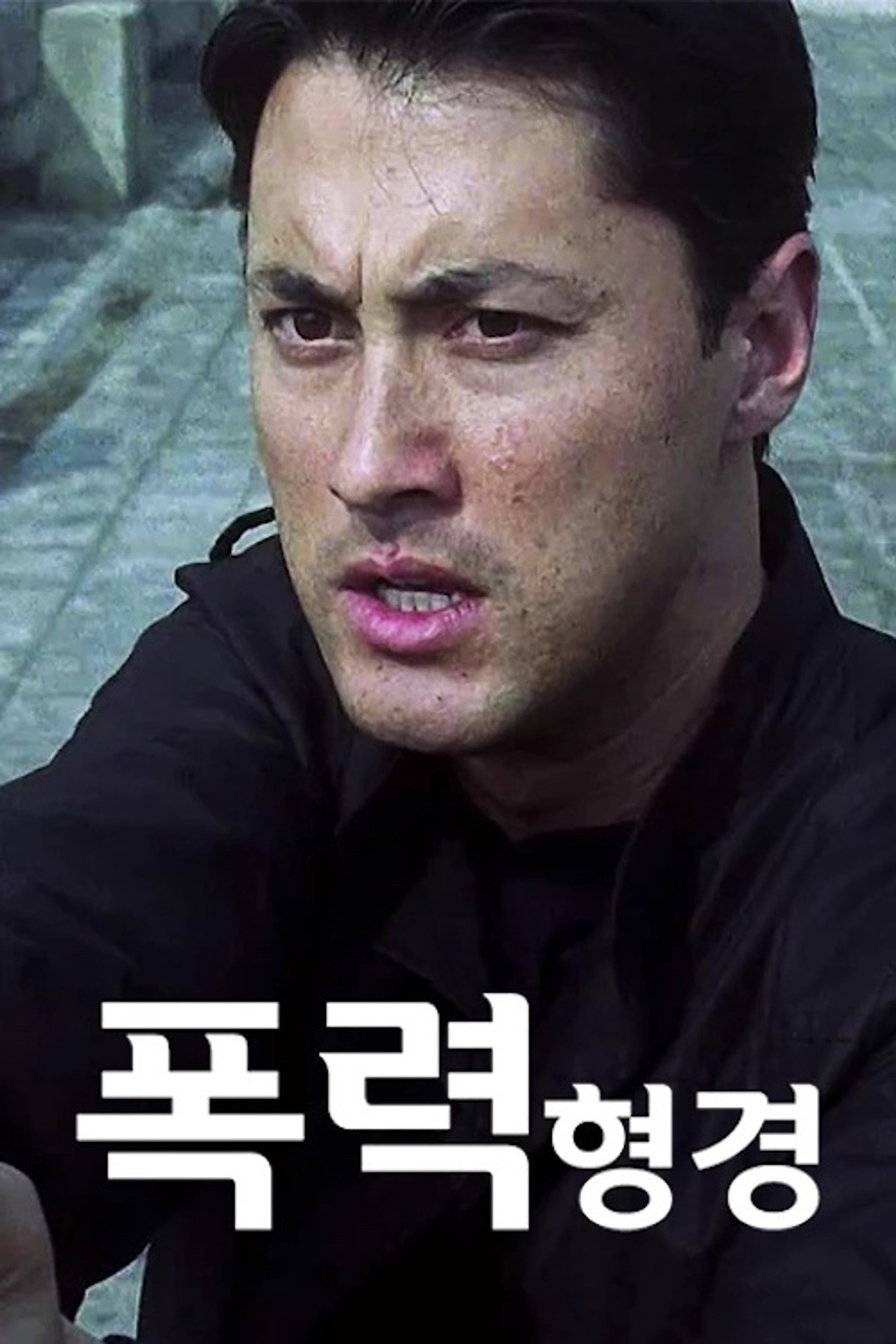 폭력형경